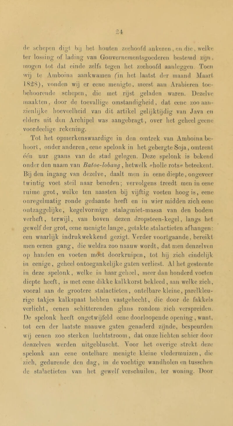 21 fic s>clH’|ien rli^l bij het liouten zi'.elioef’d aiikerei), en die, welke ter lossing of’lading van douvenieinentsgocderen hestenid zijn. mogen tot dat einde zelfs tegen liet zeehoofd aanleggen d’oen wij te Ainboinn aankwamen f'in het laatst der maand Maart IS2S), vonden wij er eene menigte, meest aan Arabieren toe- bchoorende schepen, die met rijst geladen waren. Dezelve' maakten, door de toevallige omstandigheid, dat eene zoo aan- zienlijki' hoeveelheid van dit artikel gelijktijdig van Java en elders nit den Archipel was aangebragt, over het geheel geene voordeel ige rekening. Tot het opmerkenswaardige in den ointrek van Amboina be- hoort, onder anderen , eene spelonk in het gebergte Soja, omtrent óen uur gaans van de stad gelegen. Deze spelonk is bekend onder den naam van Batoe-lobang, hetwelk //holle rots// beteekenl. Dijden ingang van dezelve, daalt men in eene diepte, ongeveer twintig voet steil naar beneden; vervolgens treedt men in eene mime grot, welke ten naasten bij vijftig voeten hoog is, eene onregelmatig ronde gedaante heeft en in wier midden zich eene ontzaggelijke, kegel vormige stalagmiet-massa van den bodem verheft, terwijl, van boven dezen dropsteen-kegel, langs het gewelf der grot, eene menigte lange, getakte stalactieten afhangen: een waarlijk indrukwekkend gezigt. Verder voortgaande, bereikt men eenen gang, die weldra zoo naauw wordt, dat men denzelven op handen en voeten mcTet doorkruipen, tot hij zich eindelijk in eenige, geheel ontoegankelijke gaten verliest. Al het gesteente in deze spelonk, welke in haar geheel, meer dan honderd voeten diepte heeft, is met eene dikke kalkkorst bekleed, aan w'elke zich, vooral aan de grootere stalactieten, ontelbare kleine, parelkleu- rige takjes kalkspaat hebben vastgehecht, die door de fakkels verlicht, eenen schitterenden glans rondom zich verspreiden. De spelonk heeft ongetwijfeld eene doorloopende opening , want. tot een der laatste naauwe gaten genaderd zijnde, bespeurden wij eenen zoo sterken luchtstroom, dat onze lichten schier door denzelven werden uiti/ebluscht. Voor het overii/e strekt deze O O spelonk aan eene ontelbare menigte kleine vlede.rnniizen, die zich, gedurende den dag, in de vochtige wandholen en tusschen de stalactieten van het gewelf verschuilen. ter woning. Door