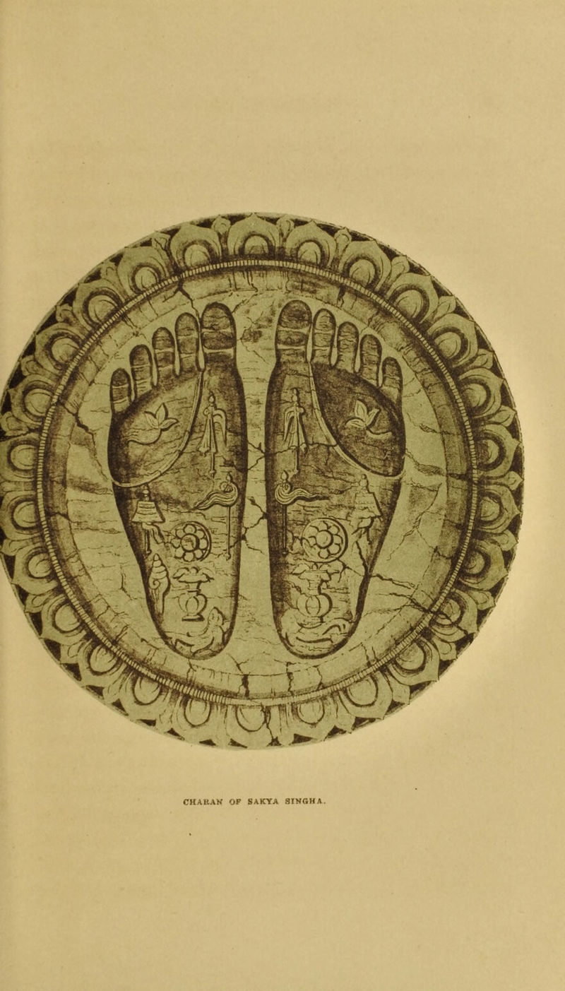CHABAN OP SAKYA SIWGHA.