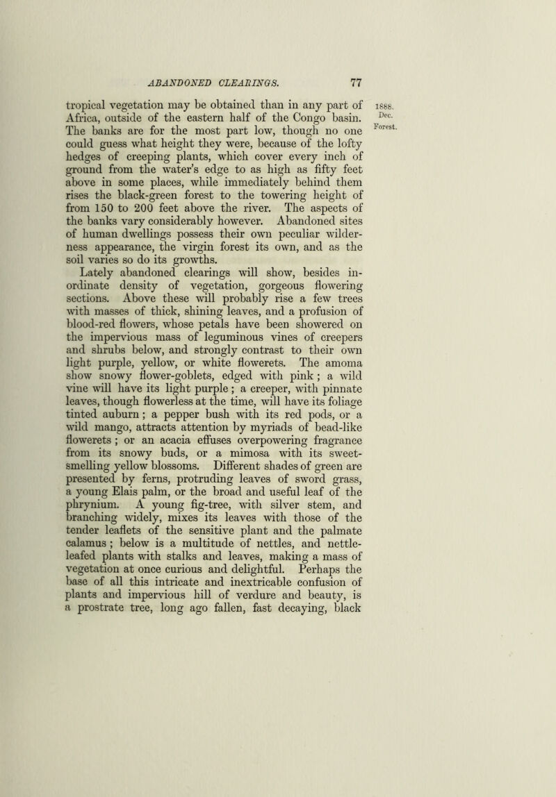 tropical vegetation may be obtained than in any part of Africa, outside of the eastern half of the Congo basin. The banks are for the most part low, though no one could guess what height they were, because of the lofty hedges of creeping plants, which cover every inch of ground from the water’s edge to as high as fifty feet above in some places, while immediately behind them rises the black-green forest to the towering height of from 150 to 200 feet above the river. The aspects of the banks vary considerably however. Abandoned sites of human dwellings possess their own peculiar wilder- ness appearance, the virgin forest its own, and as the soil varies so do its growths. Lately abandoned clearings will show, besides in- ordinate density of vegetation, gorgeous flowering sections. Above these will probably rise a few trees with masses of thick, shining leaves, and a profusion of blood-red flowers, whose petals have been showered on the impervious mass of leguminous vines of creepers and shrubs below, and strongly contrast to their own light purple, yellow, or white flowerets. The amoma show snowy flower-goblets, edged with pink ; a wild vine will have its light purple; a creeper, with pinnate leaves, though flowerless at the time, will have its foliage tinted auburn; a pepper bush with its red pods, or a wild mango, attracts attention by myriads of bead-like flowerets ; or an acacia effuses overpowering fragrance from its snowy buds, or a mimosa with its sweet- smelling yellow blossoms. Different shades of green are presented by ferns, protruding leaves of sword grass, a young Elais palm, or the broad and useful leaf of the plirynium. A young fig-tree, with silver stem, and branching widely, mixes its leaves with those of the tender leaflets of the sensitive plant and the palmate calamus ; below is a multitude of nettles, and nettle- leafed plants with stalks and leaves, making a mass of vegetation at once curious and delightful. Perhaps the base of all this intricate and inextricable confusion of plants and impervious hill of verdure and beauty, is a prostrate tree, long ago fallen, fast decaying, black 1888. Dec.