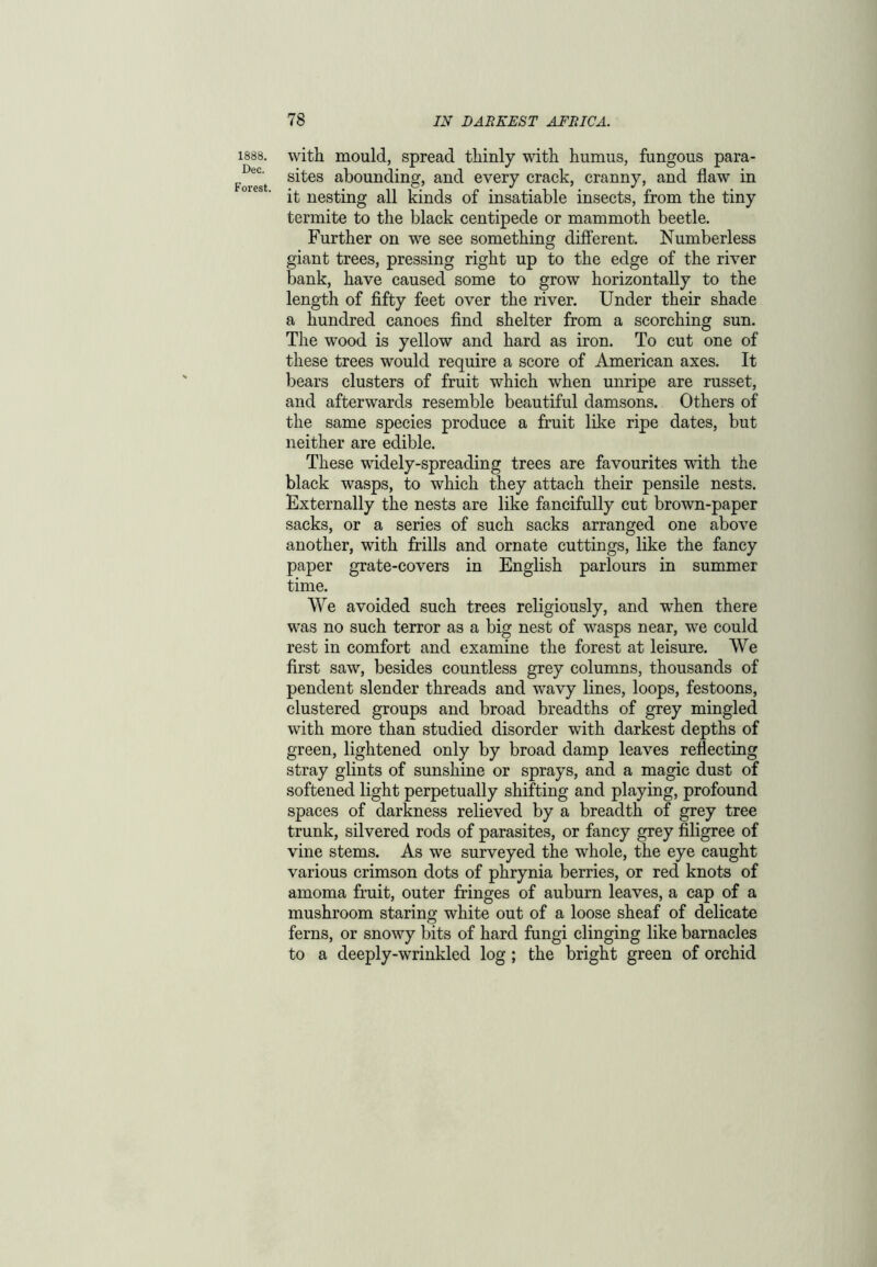 1888. Dec. Forest. with mould, spread thinly with humus, fungous para- sites abounding, and every crack, cranny, and flaw in it nesting all kinds of insatiable insects, from the tiny termite to the black centipede or mammoth beetle. Further on we see something different. Numberless giant trees, pressing right up to the edge of the river bank, have caused some to grow horizontally to the length of fifty feet over the river. Under their shade a hundred canoes find shelter from a scorching sun. The wood is yellow and hard as iron. To cut one of these trees would require a score of American axes. It bears clusters of fruit which when unripe are russet, and afterwards resemble beautiful damsons. Others of the same species produce a fruit like ripe dates, but neither are edible. These widely-spreading trees are favourites with the black wasps, to which they attach their pensile nests. Externally the nests are like fancifully cut brown-paper sacks, or a series of such sacks arranged one above another, with frills and ornate cuttings, like the fancy paper grate-covers in English parlours in summer time. We avoided such trees religiously, and when there was no such terror as a big nest of wasps near, we could rest in comfort and examine the forest at leisure. We first saw, besides countless grey columns, thousands of pendent slender threads and wavy lines, loops, festoons, clustered groups and broad breadths of grey mingled with more than studied disorder with darkest depths of green, lightened only by broad damp leaves reflecting stray glints of sunshine or sprays, and a magic dust of softened light perpetually shifting and playing, profound spaces of darkness relieved by a breadth of grey tree trunk, silvered rods of parasites, or fancy grey filigree of vine stems. As we surveyed the whole, the eye caught various crimson dots of phrynia berries, or red knots of amoma fruit, outer fringes of auburn leaves, a cap of a mushroom staring white out of a loose sheaf of delicate ferns, or snowy bits of hard fungi clinging like barnacles to a deeply-wrinkled log ; the bright green of orchid