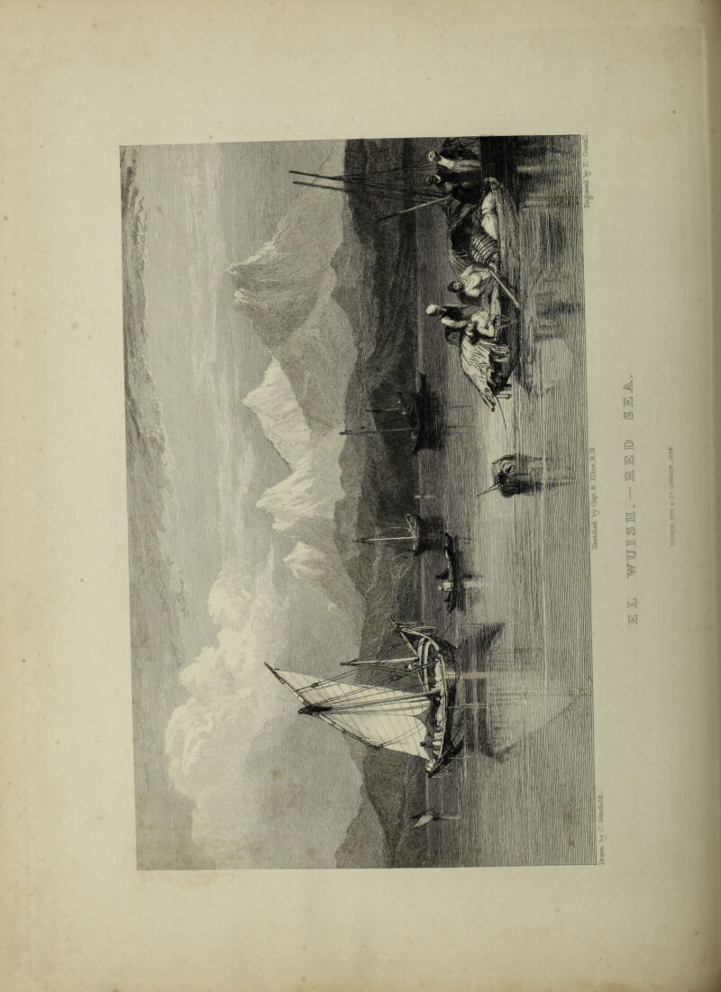 riSlli:R..SO» A: C® LOWOOK.