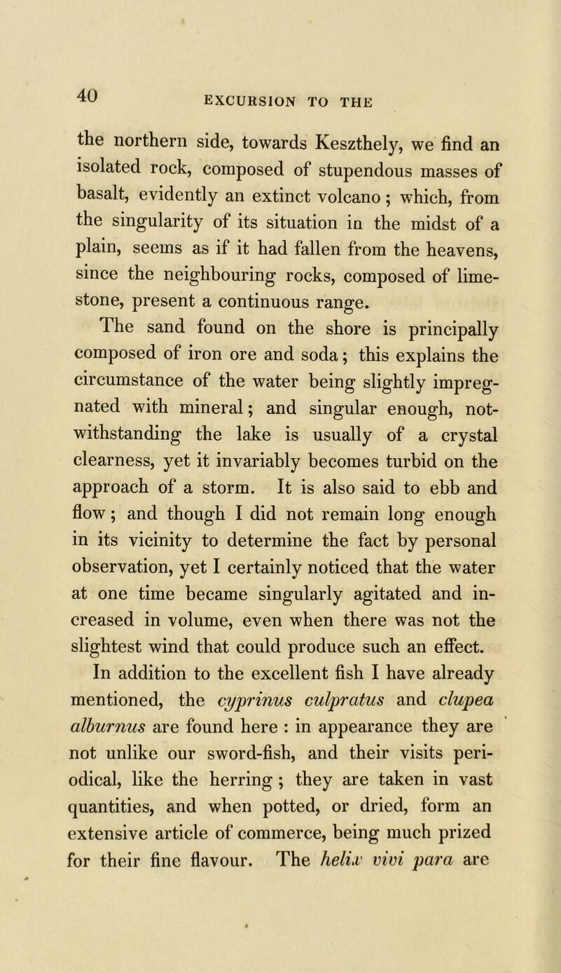 EXCURSION TO THE the northern side, towards Keszthely, we find an isolated rock, composed of stupendous masses of basalt, evidently an extinct volcano; which, from the singularity of its situation in the midst of a plain, seems as if it had fallen from the heavens, since the neighbouring rocks, composed of lime- stone, present a continuous range. The sand found on the shore is principally composed of iron ore and soda; this explains the circumstance of the water being slightly impreg- nated with mineral; and singular enough, not- withstanding the lake is usually of a crystal clearness, yet it invariably becomes turbid on the approach of a storm. It is also said to ebb and flow; and though I did not remain long enough in its vicinity to determine the fact by personal observation, yet I certainly noticed that the water at one time became singularly agitated and in- creased in volume, even when there was not the slightest wind that could produce such an effect. In addition to the excellent fish I have already mentioned, the cyprinus culpratus and clupea alburnus are found here : in appearance they are not unlike our sword-fish, and their visits peri- odical, like the herring ; they are taken in vast quantities, and when potted, or dried, form an extensive article of commerce, being much prized for their fine flavour. The helix vivi para are