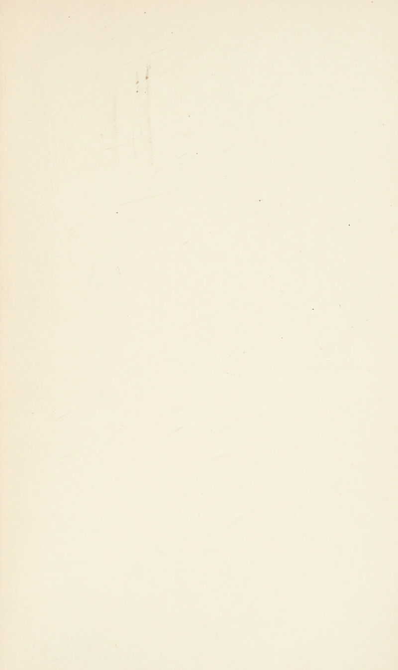 4 / r' 4‘. . 'n. 4 .Wlv’—v.i