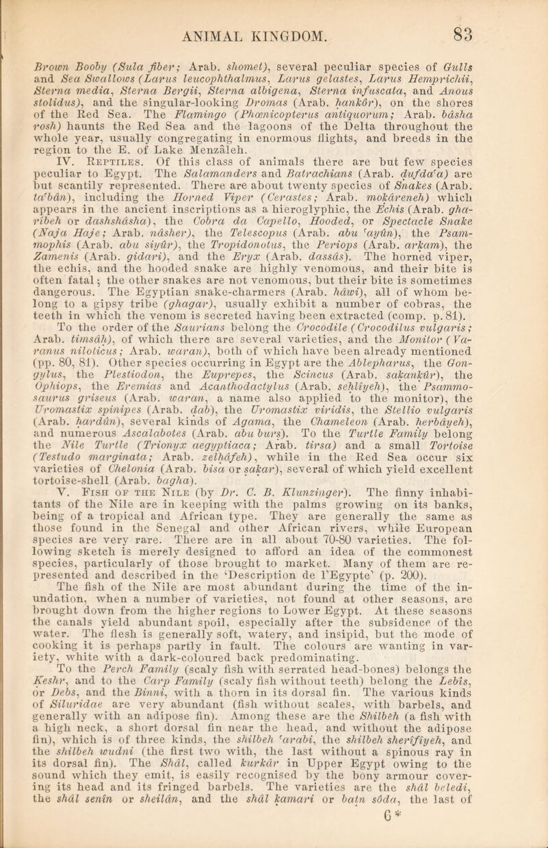Brown Booby (Sula fiber; Arab, shomet), several peculiar species of Gulls and Sea Swallows (Lctrus leucophthalmus, Larus gelastes, Larus Hemprichii, Sterna media, Sterna Bergii, Sterna albigena, Sterna infuscata, and Awows stolidus), and the singular-looking Dromas (Arab, hankdr), on the shores of the Red Sea. The Flamingo ( Phcenicopterus antiquorum; Arab, bdsha rosh) haunts the Red Sea and the lagoons of the Delta throughout the whole year, usually congregating in enormous flights, and breeds in the region to the E. of Lake Menzaleh. IV. Reptiles. Of this class of animals there are but few species peculiar to Egypt. The Salamanders and Batrachians (Arab, dufda'a) are but scantily represented. There are about twenty species of Snakes (Arab. ta'bdn), including the Horned Viper (Cerastes; Arab, mokdreneh) which appears in the ancient inscriptions as a hieroglyphic, the Echis (Arab, gha- ribeh or dashshasha), the Cobra da Capello, Hooded, or Spectacle Snake (Naja Haje; Arab, ndsher), the Telescopus (Arab, abu raytin), the Psam- mophis (Arab, abu siyllr), the Tropidonotus, the Periops (Arab, arkam), the Zamenis (Arab, gidari), and the Eryx (Arab, dassds). The horned viper, the echis, and the hooded snake are highly venomous, and their bite is often fatal; the other snakes are not venomous, but their bite is sometimes dangerous. The Egyptian snake-charmers (Arab, hawi), all of whom be- long to a gipsy tribe (ghagar), usually exhibit a number of cobras, the teeth in which the venom is secreted having been extracted (comp. p. 81). To the order of the Saurians belong the Crocodile (Crocodilus vulgaris; Arab, timsdh), of which there are several varieties, and the Monitor (Va- ranus niloticus; Arab, war an), both of which have been already mentioned (pp. 80, 81). Other species occurring in Egypt are the Ablepharus, the Gon- gylus, the Plestiodon, the Euprepes, the Scincus (Arab. sakanMr), the Ophiops, the Eremias and Acanthodactylus (Arab, sehliyeh), the Psammo- saurus griseus (Arab, waran, a name also applied to the monitor), the Uromastix spinipes (Arab, dab), the Uromastix viridis, the Stellio vulgaris (Arab, hardiln), several kinds of Agama, the Chameleon (Arab, herbdyeh), and numerous Ascalabotes (Arab, abu burs). To the Turtle Family belong the Nile Turtle (Trionyx aegyptiaca; Arab, tirsa) and a small Tortoise (Testudo marginata; Arab, zelhdfeh), while in the Red Sea occur six varieties of Chelonia (Arab, bisa or sakar), several of which yield excellent tortoise-shell (Arab, bagha). V. Fish op the Rile (by Dr. C. B. Klunzinger). The finny inhabi- tants of the Rile are in keeping with the palms growing on its banks, being of a tropical and African type. They are generally the same as those found in the Senegal and other African rivers, while European species are very rare. There are in all about 70-80 varieties. The fol- lowing sketch is merely designed to afford an idea of the commonest species, particularly of those brought to market. Many of them are re- presented and described in the ‘Description de l’Egypte1 (p. 200). The fish of the Rile are most abundant during the time of the in- undation, when a number of varieties, not found at other seasons, are brought down from the higher regions to Lower Egypt. At these seasons the canals yield abundant spoil, especially after the subsidence of the water. The flesh is generally soft, watery, and insipid, but the mode of cooking it is perhaps partly in fault. The colours are wanting in var- iety, white with a dark-coloured back predominating. To the Perch Family (scaly fish with serrated head-bones) belongs the Keshr, and to the Carp Family (scaly fish without teeth) belong the Lebis, or Debs, and the Binni, with a thorn in its dorsal fin. The various kinds of Siluridae are very abundant (fish without scales, with barbels, and generally with an adipose fin). Among these are the Shilbeh (a fish with a high neck, a short dorsal fin near the head, and without the adipose fin), which is of three kinds, the shilbeh rarabi, the shilbeh sherrfiyeh, and the shilbeh wudni (the first two with, the last without a spinous ray in its dorsal fin). The Shdl, called kurkdr in Upper Egypt owing to the sound which they emit, is easily recognised by the bony armour cover- ing its head and its fringed barbels. The varieties are the shdl beledi, the shdl senin or sheildn, and the shdl kamari or batn sdda, the last of 6*