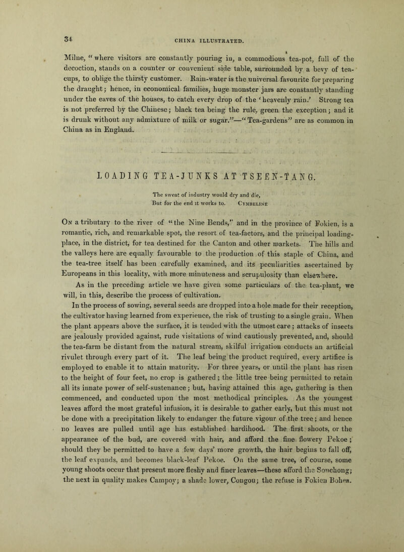 Milne, “ where visitors are constantly pouring in, a commodious tea-pot, full of the decoction, stands on a counter or convenient side table, surrounded by a bevy of tea- cups, to oblige the thirsty customer. Rain-water is the universal favourite for preparing the draught; hence, in economical families, huge monster jars are constantly standing under the eaves of the houses, to catch every drop of the ' heavenly rain.’ Strong tea is not preferred by the Chinese; black tea being the rule, green the exception; and it is drunk without any admixture of milk or sugar.”—Tea-gardens” are as common in China as in England. LOADING TEA-JUNKS AT TSEEN-TANG. The sweat of industry would dry and die. But for the end it works to. Cymbeline On a tributary to the river of “the Nine Bends,” and in the province of Fokien, is a romantic, rich, and remarkable spot, the resort of tea-factors, and the prineijial loading- place, in the district, for tea destined for the Canton and other markets. The hills and the valleys here are equally favourable to the production of this staple of China, and the tea-tree itself has been carefully examined, and its peculiarities ascertained by Europeans in this locality, with more minuteness and scrupulosity than elsewhere. As in the preceding article we have given some particulars of the tea-plant, we will, in this, describe the process of cultivation. In the process of sowing, several seeds are dropped into a hole made for their reception, the cultivator having learned from experience, the risk of trusting to a single grain. When the plant appears above the surface, it is tended with the utmost care; attacks of insects are jealously provided against, rude visitations of wind cautiously prevented, and, should the tea-farm be distant from the natural stream, skilful irrigation conducts an artificial rivulet through every part of it. The leaf being the product required, every artifice is employed to enable it to attain maturity. For three years, or until the plant has risen to the height of four feet, no crop is gathered; the little tree being permitted to retain all its innate power of self-sustenance; but, having attained this age, gathering is then commenced, and conducted upon the most methodical principles. As the youngest leaves afford the most grateful infusion, it is desirable to gather early, but this must not be done with a precipitation likely to endanger the future vigour of the tree; and hence no leaves are pulled until age has established hardihood. The first shoots, or the appearance of the bud, are covered with hair, and afford the fine flowery Pekoe ; should they be permitted to have a few days’ more growth, the hair begins to fall off, the leaf expands, and becomes black-leaf Pekoe. On the same tree, of course, some young shoots occur that present more fleshy and finer leaves—these afford the Souchong; the next in quality makes Campoy; a shade loiver, Congou; the refuse is Fokien Bohea.