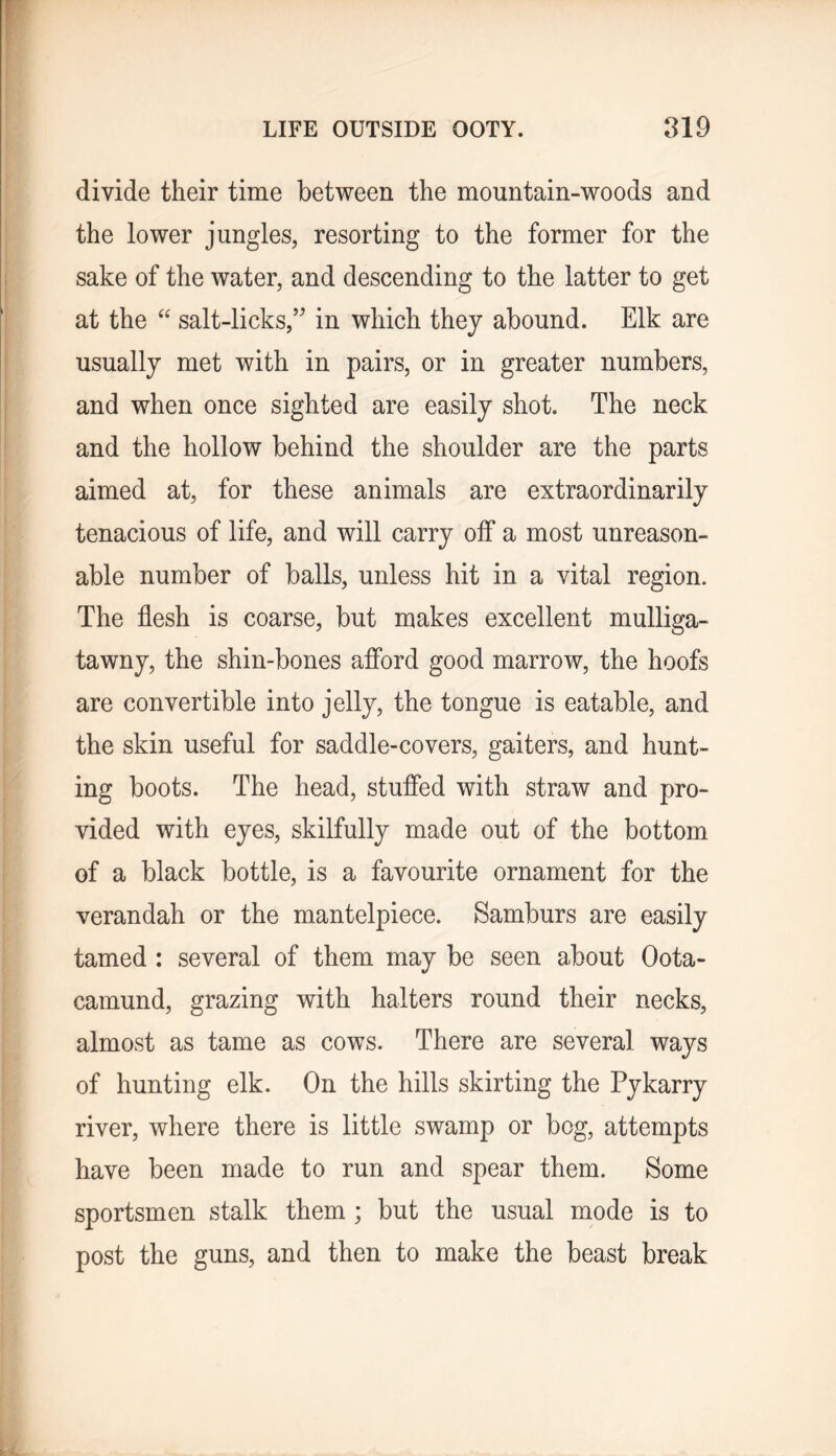 divide their time between the mountain-woods and the lower jungles, resorting to the former for the sake of the water, and descending to the latter to get at the salt-licks,’^ in which they abound. Elk are usually met with in pairs, or in greater numbers, and when once sighted are easily shot. The neck and the hollow behind the shoulder are the parts aimed at, for these animals are extraordinarily tenacious of life, and will carry off a most unreason- able number of balls, unless hit in a vital region. The flesh is coarse, but makes excellent mulliga- tawny, the shin-bones afibrd good marrow, the hoofs are convertible into jelly, the tongue is eatable, and the skin useful for saddle-covers, gaiters, and hunt- ing boots. The head, stuffed with straw and pro- vided with eyes, skilfully made out of the bottom of a black bottle, is a favourite ornament for the verandah or the mantelpiece. Samburs are easily tamed : several of them may be seen about Oota- camund, grazing with halters round their necks, almost as tame as cows. There are several ways of hunting elk. On the hills skirting the Pykarry river, where there is little swamp or bog, attempts have been made to run and spear them. Some sportsmen stalk them ; but the usual mode is to post the guns, and then to make the beast break