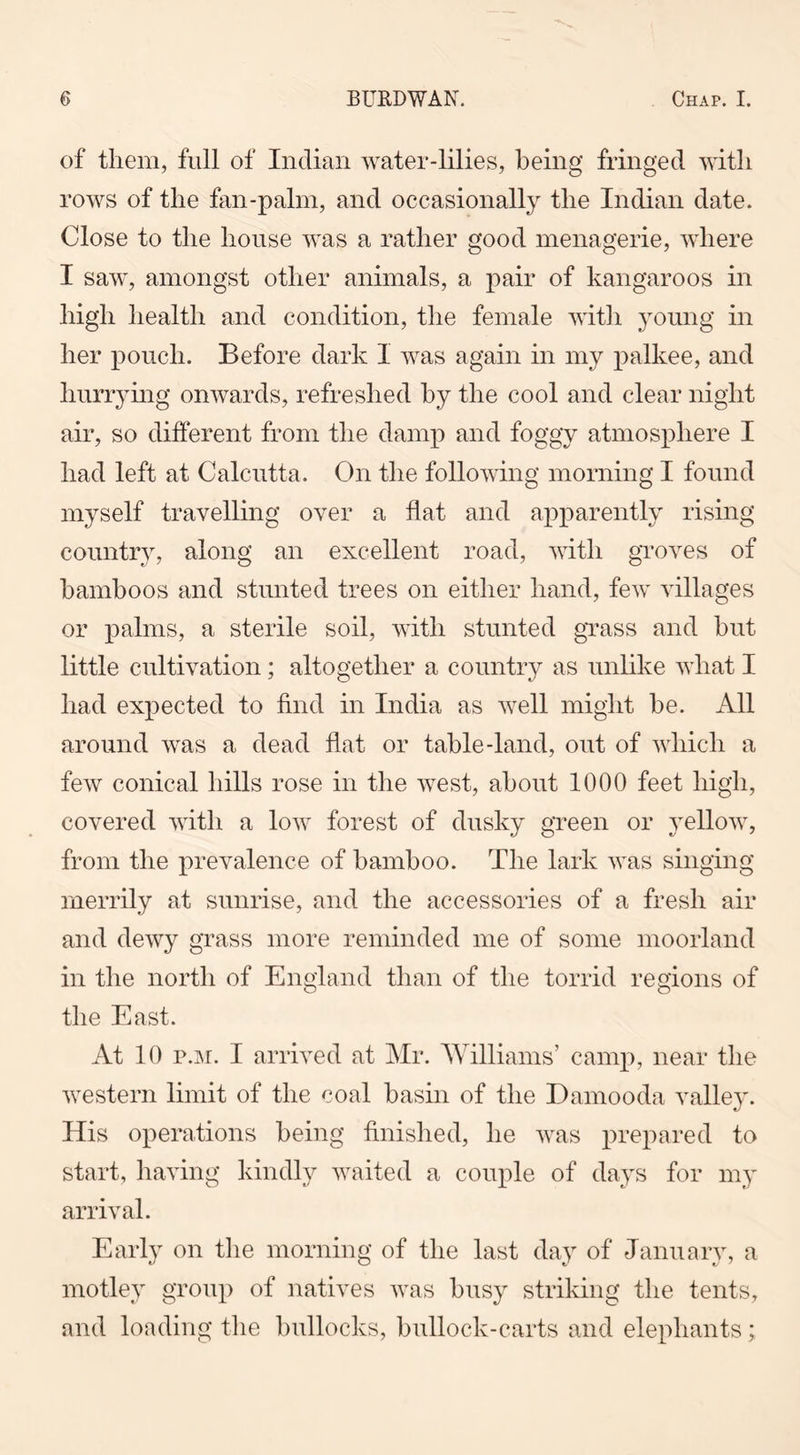 of them, full of Indian water-lilies, being fringed with rows of the fan-palm, and occasionally the Indian date. Close to the house was a rather good menagerie, where I saw, amongst other animals, a pair of kangaroos in high health and condition, the female with young in her pouch. Before dark 1 was again in my palkee, and hurrying onwards, refreshed by the cool and clear night air, so different from the damp and foggy atmosphere I had left at Calcutta. On the following morning I found myself travelling over a flat and apparently rising country, along an excellent road, with groves of bamboos and stunted trees on either hand, few villages or palms, a sterile soil, with stunted grass and but little cultivation; altogether a country as unlike what I had expected to find in India as well might be. All around was a dead flat or table-land, out of which a few conical hills rose in the west, about 1000 feet high, covered with a low forest of dusky green or yellow, from the prevalence of bamboo. The lark was singing merrily at sunrise, and the accessories of a fresh air and dewy grass more reminded me of some moorland in the north of England than of the torrid regions of the East. At 10 p.m. I arrived at Mr. Williams’ camp, near the western limit of the coal basin of the Damooda valley. His operations being finished, he was prepared to start, having kindly waited a couple of days for my arrival. Early on the morning of the last day of January, a motley group of natives was busy striking the tents, and loading the bullocks, bullock-carts and elephants;