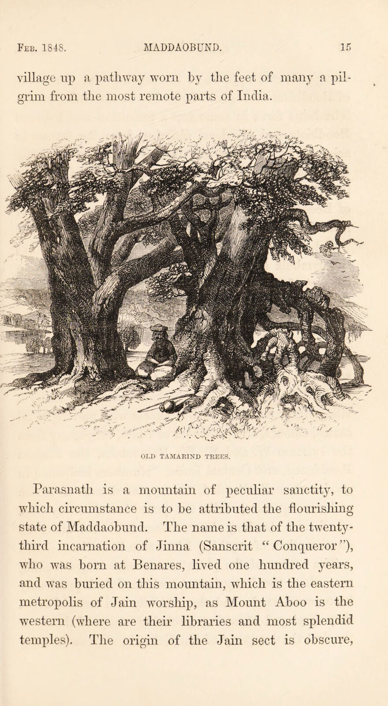 village up a pathway worn by the feet of many a pil- grim from the most remote parts of India. OLD TAMARIND TREES. Parasnath is a mountain of peculiar sanctity, to which circumstance is to he attributed the flourishing state of Maddaobund. The name is that of the twenty- third incarnation of Jinna (Sanscrit “ Conqueror ”), who was born at Benares, lived one hundred years, and was buried on this mountain, which is the eastern metropolis of Jain worship, as Mount Aboo is the western (where are their libraries and most splendid temples). The origin of the Jain sect is obscure,