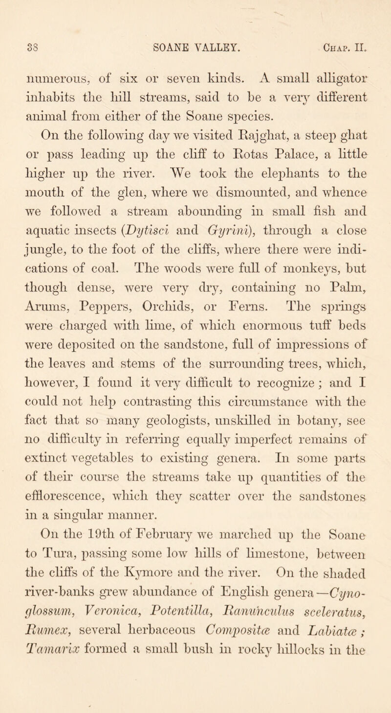 numerous, of six or seven kinds. A small alligator inhabits the hill streams, said to be a very different animal from either of the Soane species. On the following day we visited Raj ghat, a steep ghat or pass leading up the cliff to Rotas Palace, a little higher up the river. We took the elephants to the mouth of the glen, where we dismounted, and whence wTe followed a stream abounding in small fish and aquatic insects (Dytisci and Gyrini), through a close jungle, to the foot of the cliffs, where there were indi- cations of coal. The woods were full of monkeys, but though dense, were very dry, containing no Palm, Arums, Peppers, Orchids, or Ferns. The springs were charged with lime, of which enormous tuff beds were deposited on the sandstone, full of impressions of the leaves and stems of the surrounding trees, which, however, I found it very difficult to recognize ; and I could not help contrasting this circumstance with the fact that so many geologists, unskilled in botany, see no difficulty in referring equally imperfect remains of extinct vegetables to existing genera. In some parts of their course the streams take up quantities of the efflorescence, which they scatter over the sandstones in a singular manner. On the 19th of February wre marched up the Soane to Tura, passing some low hills of limestone, between the cliffs of the Kymore and the river. On the shaded river-banks grew abundance of English genera—Cyno- glossum, Veronica, Potentilla, Ranunculus sceleratus, Rumex, several herbaceous Compositce and Labiatce; Tamarix formed a small bush in rocky hillocks in the