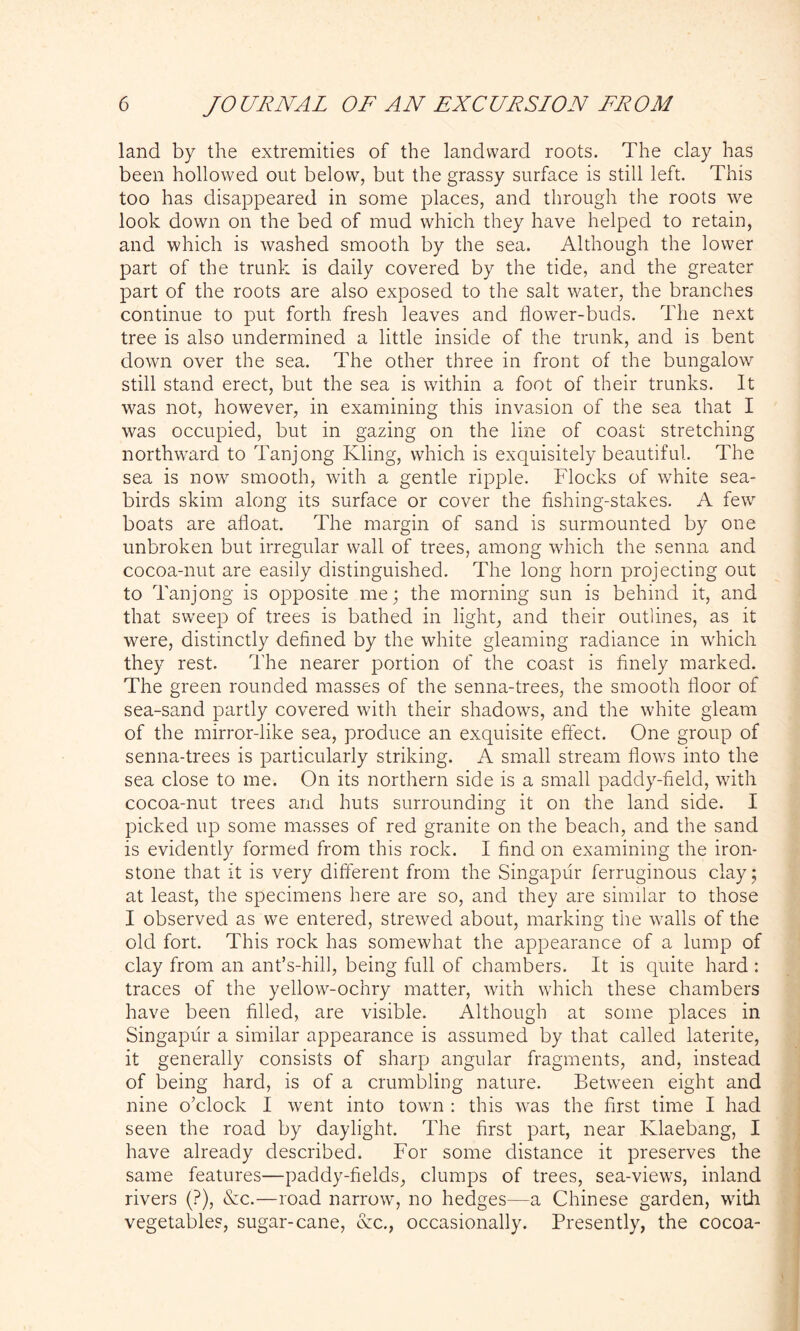 land by the extremities of the landward roots. The clay has been hollowed out below, but the grassy surface is still left. This too has disappeared in some places, and through the roots we look down on the bed of mud which they have helped to retain, and which is washed smooth by the sea. Although the lower part of the trunk is daily covered by the tide, and the greater part of the roots are also exposed to the salt water, the branches continue to put forth fresh leaves and flower-buds. The next tree is also undermined a little inside of the trunk, and is bent down over the sea. The other three in front of the bungalow still stand erect, but the sea is within a foot of their trunks. It was not, however, in examining this invasion of the sea that I was occupied, but in gazing on the line of coast stretching northward to Tanjong Kling, which is exquisitely beautiful. The sea is now smooth, with a gentle ripple. Flocks of white sea- birds skim along its surface or cover the fishing-stakes. A few boats are afloat. The margin of sand is surmounted by one unbroken but irregular wall of trees, among which the senna and cocoa-nut are easily distinguished. The long horn projecting out to Tanjong is opposite me; the morning sun is behind it, and that sweep of trees is bathed in light, and their outlines, as it were, distinctly defined by the white gleaming radiance in which they rest. The nearer portion of the coast is finely marked. The green rounded masses of the senna-trees, the smooth floor of sea-sand partly covered with their shadows, and the white gleam of the mirror-like sea, produce an exquisite effect. One group of senna-trees is particularly striking. A small stream flows into the sea close to me. On its northern side is a small paddy-field, with cocoa-nut trees and huts surrounding it on the land side. I picked up some masses of red granite on the beach, and the sand is evidently formed from this rock. I find on examining the iron- stone that it is very different from the Singapur ferruginous clay; at least, the specimens here are so, and they are similar to those I observed as we entered, strewed about, marking the walls of the old fort. This rock has somewhat the appearance of a lump of clay from an ant’s-hill, being full of chambers. It is quite hard : traces of the yellow-ochry matter, with which these chambers have been filled, are visible. Although at some places in Singapur a similar appearance is assumed by that called laterite, it generally consists of sharp angular fragments, and, instead of being hard, is of a crumbling nature. Between eight and nine o’clock I went into town : this was the first time I had seen the road by daylight. The first part, near Klaebang, I have already described. For some distance it preserves the same features—paddy-fields, clumps of trees, sea-views, inland rivers (?), <8ec.—road narrow, no hedges—a Chinese garden, with vegetables, sugar-cane, &c., occasionally. Presently, the cocoa-