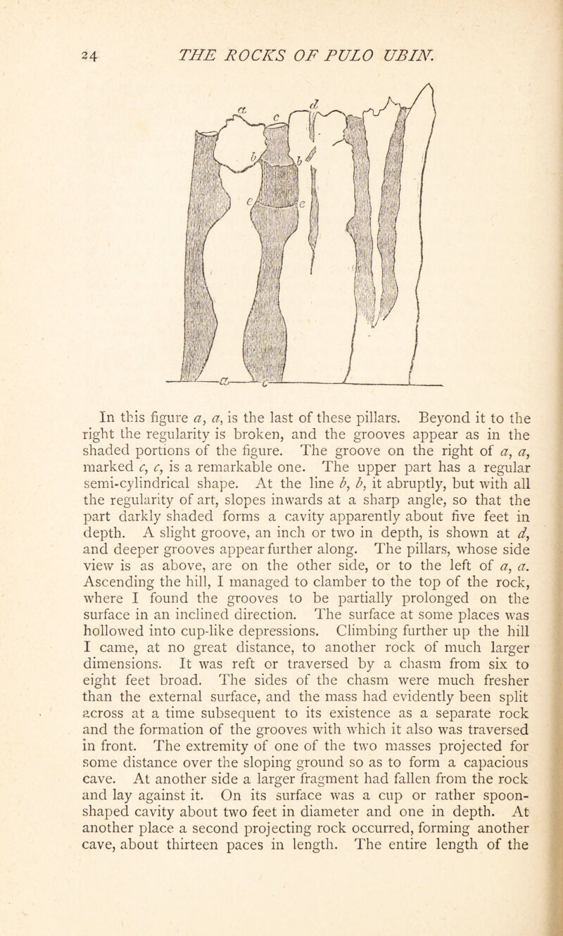In this figure a, a, is the last of these pillars. Beyond it to the right the regularity is broken, and the grooves appear as in the shaded portions of the figure. The groove on the right of a, a, marked c, c, is a remarkable one. The upper part has a regular semi-cylindrical shape. At the line b, b, it abruptly, but with all the regularity of art, slopes inwards at a sharp angle, so that the part darkly shaded forms a cavity apparently about five feet in depth. A slight groove, an inch or two in depth, is shown at d, and deeper grooves appear further along. The pillars, whose side view is as above, are on the other side, or to the left of a, a. Ascending the hill, I managed to clamber to the top of the rock, where I found the grooves to be partially prolonged on the surface in an inclined direction. The surface at some places was hollowed into cup-like depressions. Climbing further up the hill I came, at no great distance, to another rock of much larger dimensions. It was reft or traversed by a chasm from six to eight feet broad. The sides of the chasm were much fresher than the external surface, and the mass had evidently been split across at a time subsequent to its existence as a separate rock and the formation of the grooves with which it also was traversed in front. The extremity of one of the two masses projected for some distance over the sloping ground so as to form a capacious cave. At another side a larger fragment had fallen from the rock and lay against it. On its surface was a cup or rather spoon- shaped cavity about two feet in diameter and one in depth. At another place a second projecting rock occurred, forming another cave, about thirteen paces in length. The entire length of the