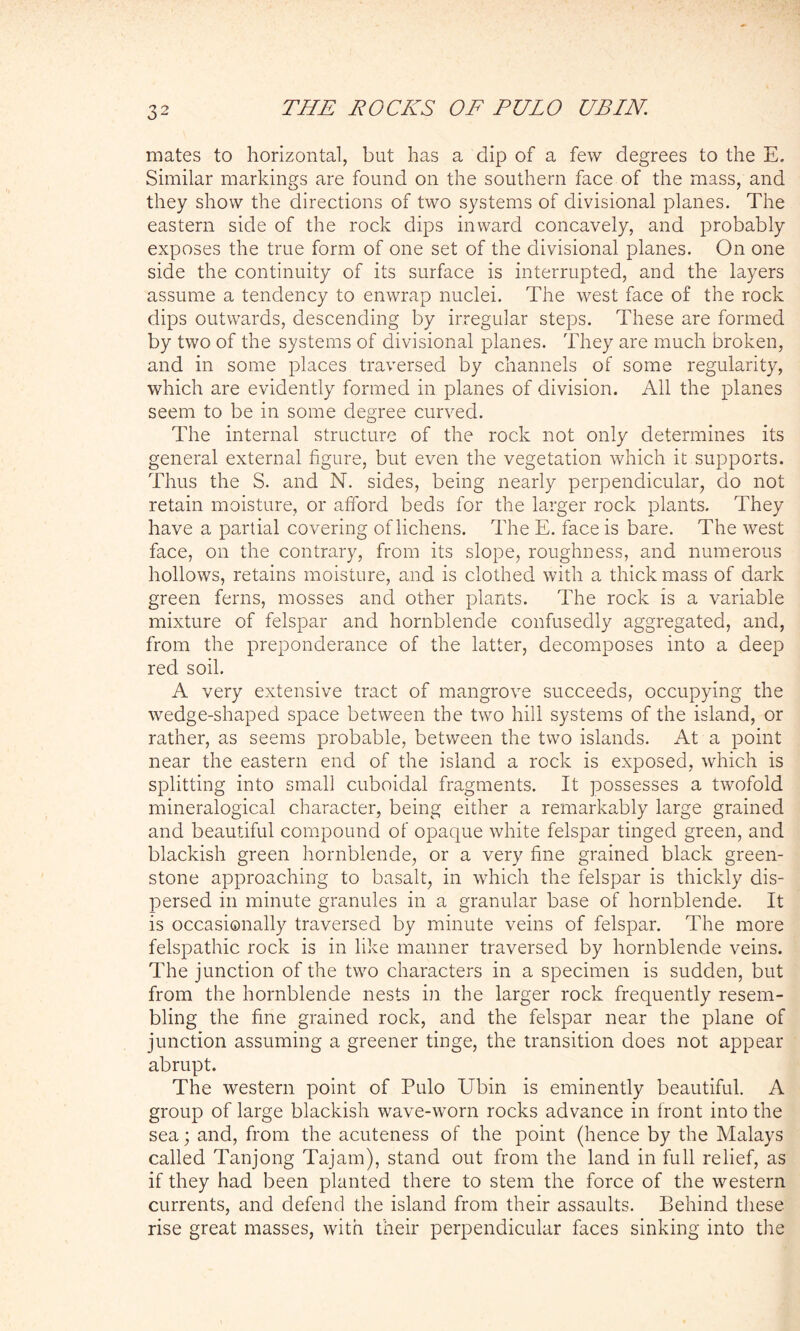 mates to horizontal, but has a dip of a few degrees to the E. Similar markings are found on the southern face of the mass, and they show the directions of two systems of divisional planes. The eastern side of the rock dips inward concavely, and probably exposes the true form of one set of the divisional planes. On one side the continuity of its surface is interrupted, and the layers assume a tendency to enwrap nuclei. The west face of the rock dips outwards, descending by irregular steps. These are formed by two of the systems of divisional planes. They are much broken, and in some places traversed by channels of some regularity, which are evidently formed in planes of division. All the planes seem to be in some degree curved. The internal structure of the rock not only determines its general external figure, but even the vegetation which it supports. Thus the S. and N. sides, being nearly perpendicular, do not retain moisture, or afford beds for the larger rock plants. They have a partial covering of lichens. The E. face is bare. The west face, on the contrary, from its slope, roughness, and numerous hollows, retains moisture, and is clothed with a thick mass of dark green ferns, mosses and other plants. The rock is a variable mixture of felspar and hornblende confusedly aggregated, and, from the preponderance of the latter, decomposes into a deep red soil. A very extensive tract of mangrove succeeds, occupying the wedge-shaped space between the two hill systems of the island, or rather, as seems probable, between the two islands. At a point near the eastern end of the island a rock is exposed, which is splitting into small cuboidal fragments. It possesses a twofold mineralogical character, being either a remarkably large grained and beautiful compound of opaque white felspar tinged green, and blackish green hornblende, or a very fine grained black green- stone approaching to basalt, in which the felspar is thickly dis- persed in minute granules in a granular base of hornblende. It is occasionally traversed by minute veins of felspar. The more felspathic rock is in like manner traversed by hornblende veins. The junction of the two characters in a specimen is sudden, but from the hornblende nests in the larger rock frequently resem- bling the fine grained rock, and the felspar near the plane of junction assuming a greener tinge, the transition does not appear abrupt. The western point of Pulo Ubin is eminently beautiful. A group of large blackish wave-worn rocks advance in front into the sea; and, from the acuteness of the point (hence by the Malays called Tanjong Tajam), stand out from the land in full relief, as if they had been planted there to stem the force of the western currents, and defend the island from their assaults. Behind these rise great masses, with their perpendicular faces sinking into the