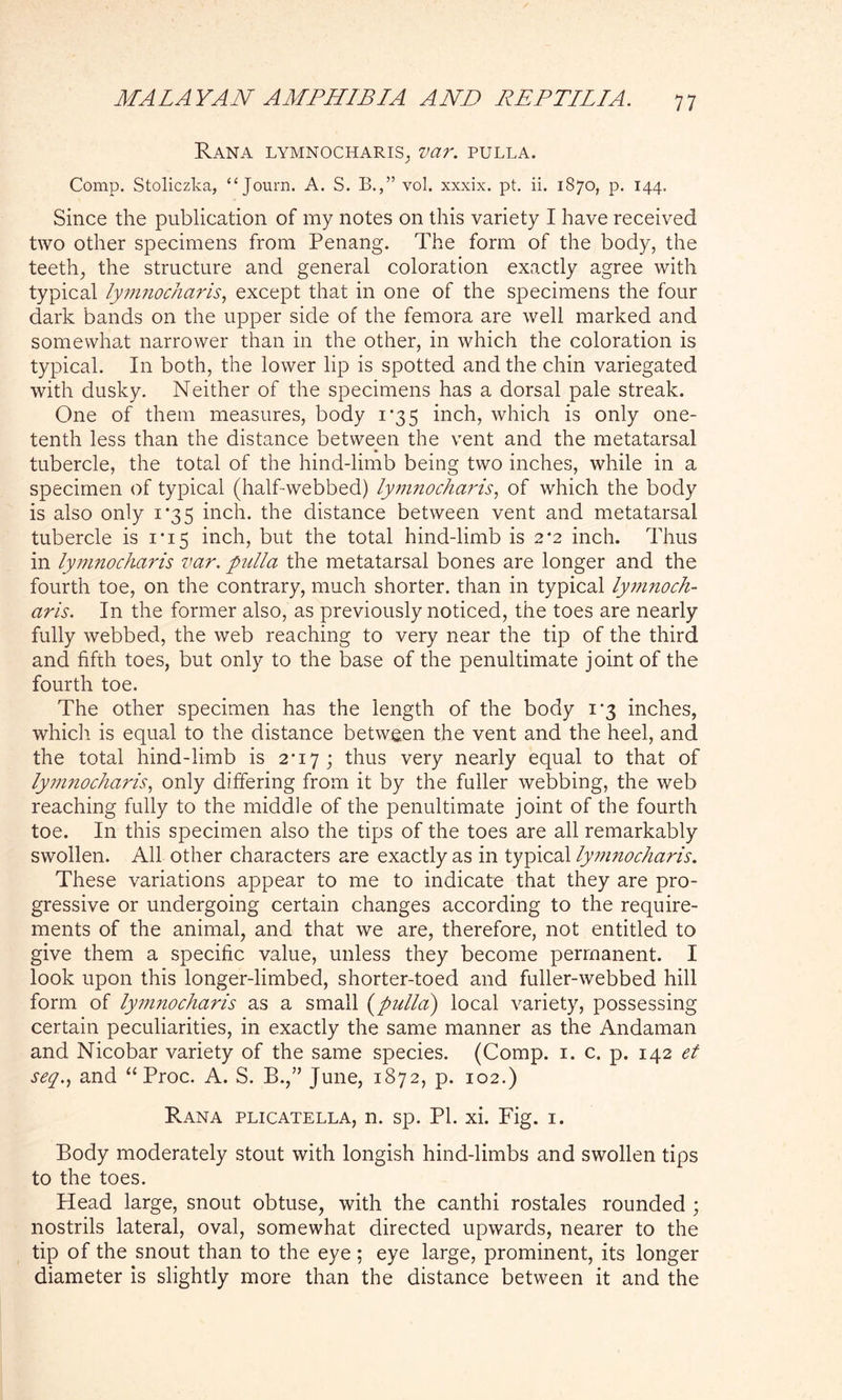 Rana lymnocharis, var. pulla. Comp. Stoliczka, “ Journ. A. S. B.,” vol. xxxix. pt. ii. 1870, p. 144. Since the publication of my notes on this variety I have received two other specimens from Penang. The form of the body, the teeth, the structure and general coloration exactly agree with typical lymnocharis, except that in one of the specimens the four dark bands on the upper side of the femora are well marked and somewhat narrower than in the other, in which the coloration is typical. In both, the lower lip is spotted and the chin variegated with dusky. Neither of the specimens has a dorsal pale streak. One of them measures, body 1*35 inch, which is only one- tenth less than the distance between the vent and the metatarsal tubercle, the total of the hind-limb being two inches, while in a specimen of typical (half-webbed) lymnocharis, of which the body is also only 1*35 inch, the distance between vent and metatarsal tubercle is 1*15 inch, but the total hind-limb is 2*2 inch. Thus in lymnocharis var. pulla the metatarsal bones are longer and the fourth toe, on the contrary, much shorter, than in typical lymnoch- aris. In the former also, as previously noticed, the toes are nearly fully webbed, the web reaching to very near the tip of the third and fifth toes, but only to the base of the penultimate joint of the fourth toe. The other specimen has the 'length of the body 1*3 inches, which is equal to the distance between the vent and the heel, and the total hind-limb is 2*17; thus very nearly equal to that of lymnocharis, only differing from it by the fuller webbing, the web reaching fully to the middle of the penultimate joint of the fourth toe. In this specimen also the tips of the toes are all remarkably swollen. All other characters are exactly as in typical lymnocharis. These variations appear to me to indicate that they are pro- gressive or undergoing certain changes according to the require- ments of the animal, and that we are, therefore, not entitled to give them a specific value, unless they become permanent. I look upon this longer-limbed, shorter-toed and fuller-webbed hill form of lymnocharis as a small (pulla) local variety, possessing certain peculiarities, in exactly the same manner as the Andaman and Nicobar variety of the same species. (Comp. 1. c. p. 142 et seq., and “ Proc. A. S. B.,” June, 1872, p. 102.) Rana plicatella, n. sp. PI. xi. Fig. 1. Body moderately stout with longish hind-limbs and swollen tips to the toes. Head large, snout obtuse, with the canthi rostales rounded ; nostrils lateral, oval, somewhat directed upwards, nearer to the tip of the snout than to the eye; eye large, prominent, its longer diameter is slightly more than the distance between it and the