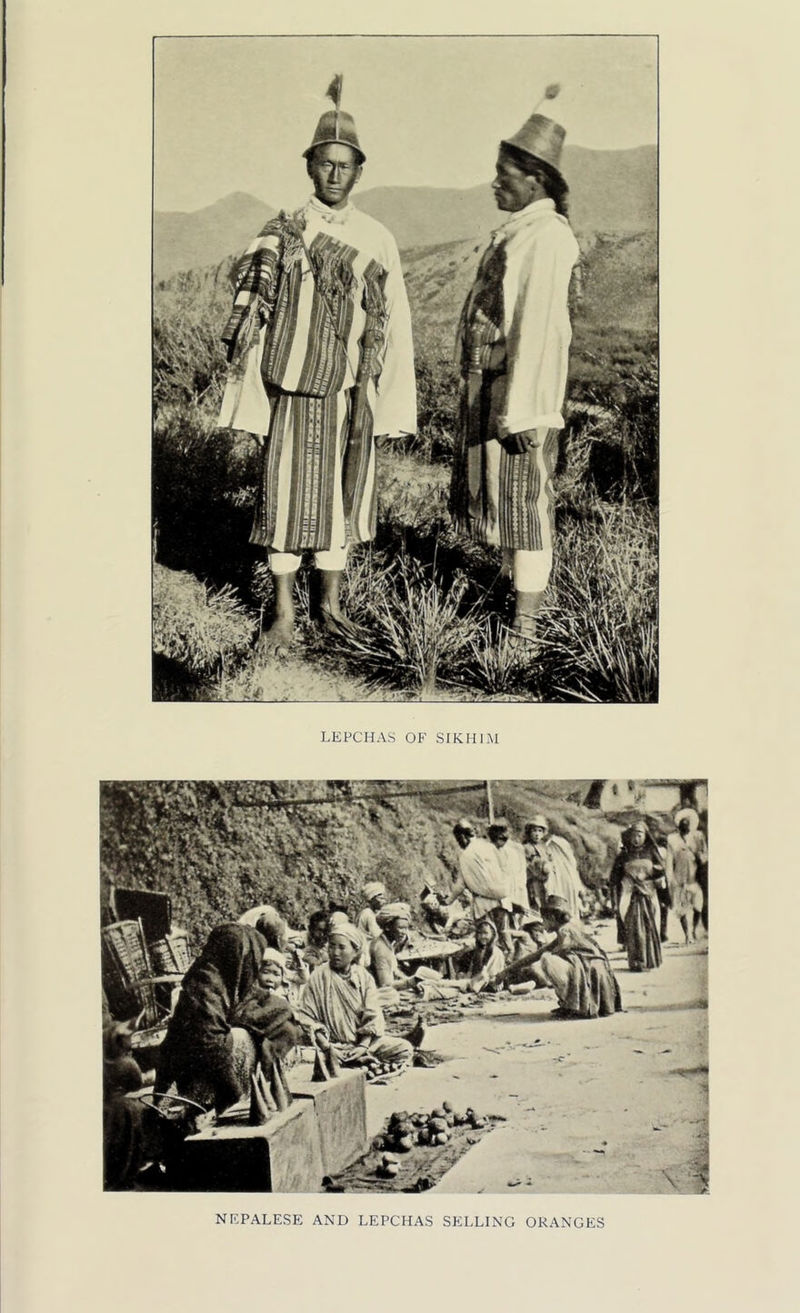 LEPCHAS OF SIKKIM NEPALESE AND LEPCHAS SELLING ORANGES