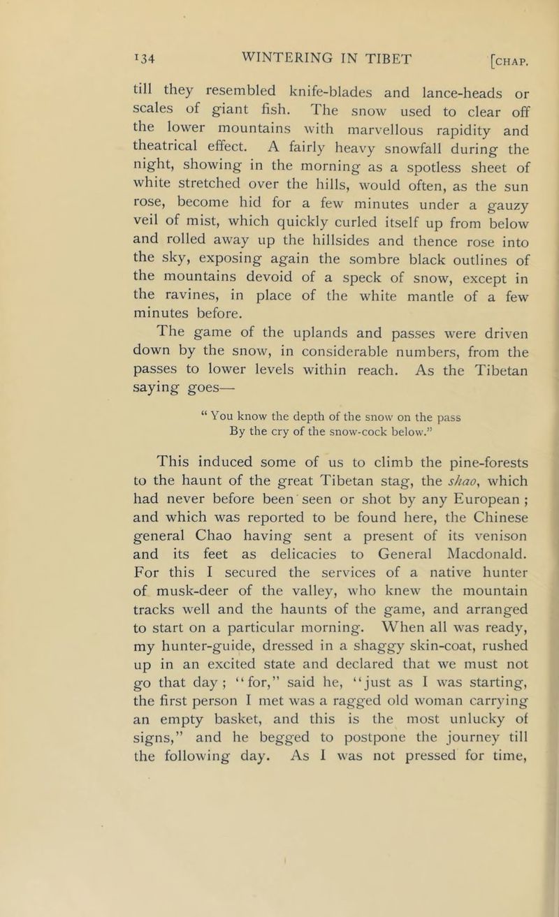 till they resembled knife-blades and lance-heads or scales of giant fish. The snow used to clear off the lower mountains with marvellous rapidity and theatrical effect. A fairly heavy snowfall during the night, showing in the morning as a spotless sheet of white stretched over the hills, would often, as the sun rose, become hid for a few minutes under a gauzy veil of mist, which quickly curled itself up from below and rolled away up the hillsides and thence rose into the sky, exposing again the sombre black outlines of the mountains devoid of a speck of snow, except in the ravines, in place of the white mantle of a few minutes before. The game of the uplands and passes were driven down by the snow, in considerable numbers, from the passes to lower levels within reach. As the Tibetan saying goes— “ You know the depth of the snow on the pass By the cry of the snow-cock below.” This induced some of us to climb the pine-forests to the haunt of the great Tibetan stag, the s/iao, which had never before been seen or shot by any European; and which was reported to be found here, the Chinese general Chao having sent a present of its venison and its feet as delicacies to General Macdonald. For this I secured the services of a native hunter of musk-deer of the valley, who knew the mountain tracks well and the haunts of the game, and arranged to start on a particular morning. When all was ready, my hunter-guide, dressed in a shaggy skin-coat, rushed up in an excited state and declared that we must not go that day; “for,” said he, “just as I was starting, the first person I met was a ragged old woman carrying an empty basket, and this is the most unlucky of signs,” and he begged to postpone the journey till the following day. As I was not pressed for time,