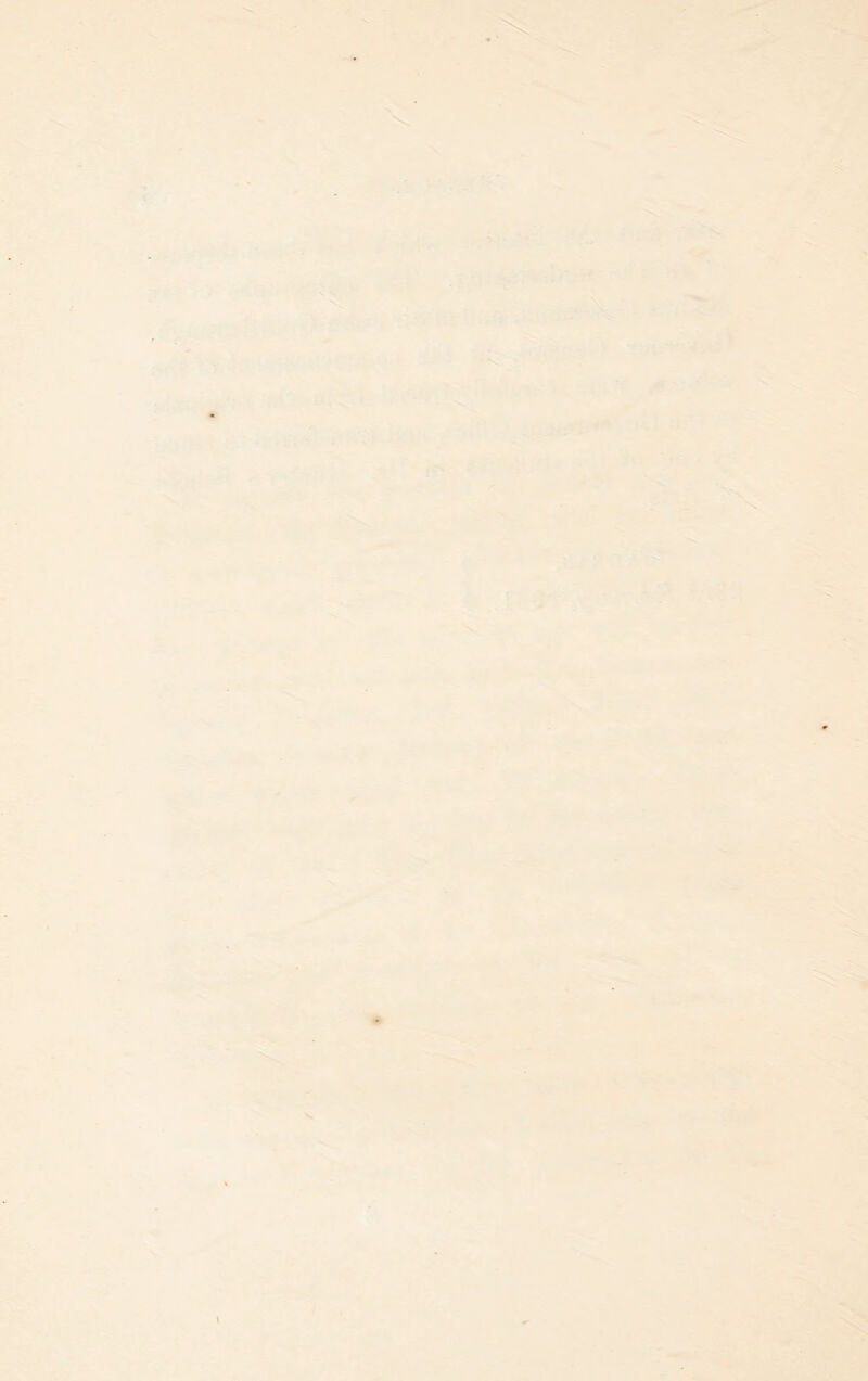 ■ -*.^»■:.^£.' «• ^ ^.. J4-. 'ft*’ •-*> - ■' -' ' ii<. ' - . . m u; ^ V ^ Si’f^^’S ;• - • -JJ. ?«■ ■#• ^^...4^.-' . -- ;*■■- =^* **^ ._?♦.. ' “Vv-. .'§1^ feig »v'. . '?i' ■ ^ '■ ”' ■ , ■ -^ ..^r^saalB''g - :^‘'^- - ►y-'^ -*-^iv^.-^>!^MlB*Si,_! ; ; . - .r^if-^ M^' - i/' i