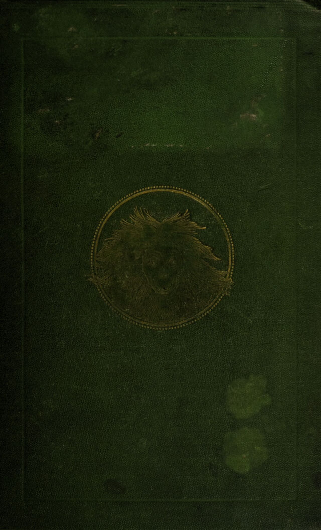 No text description is available for this image