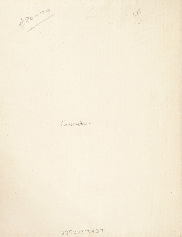 digitised image 2