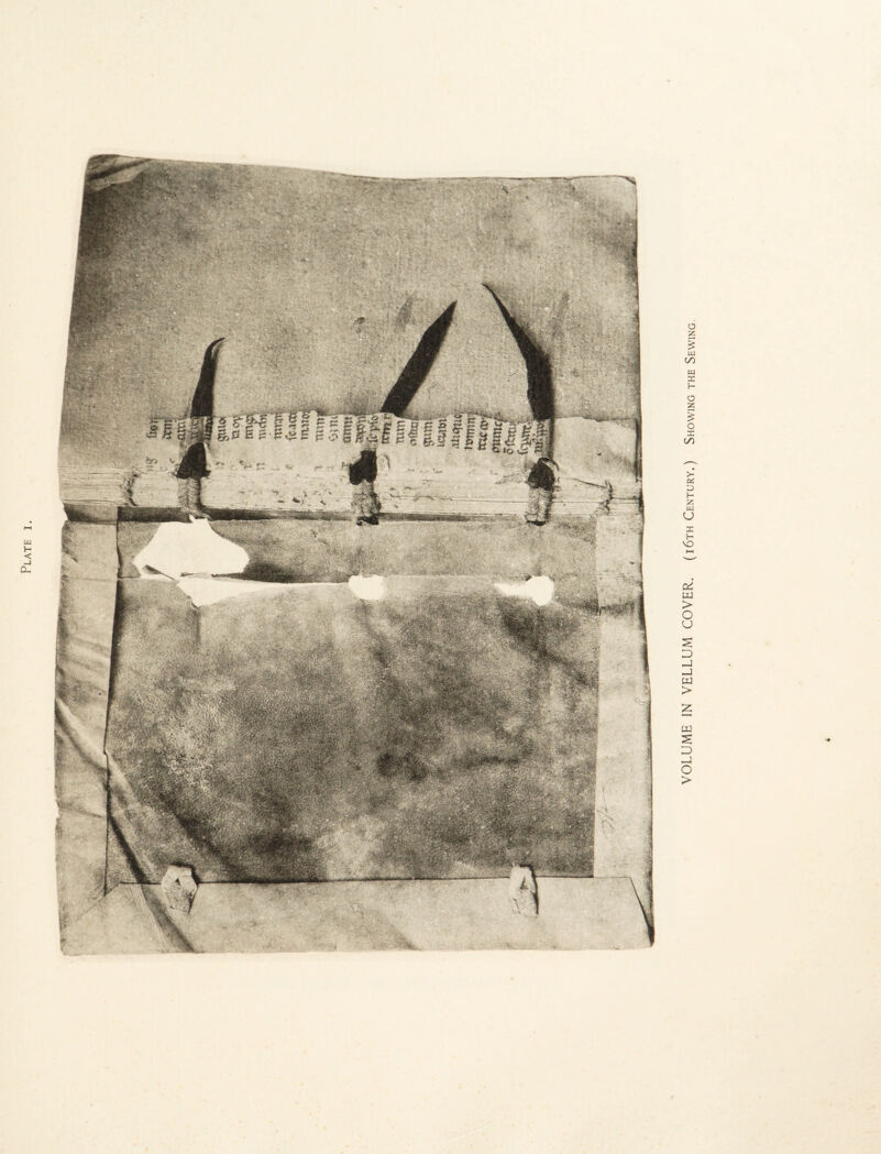 Plate VOLUME IN VELLUM COVER. (i6th Century.) Showing the Sewing