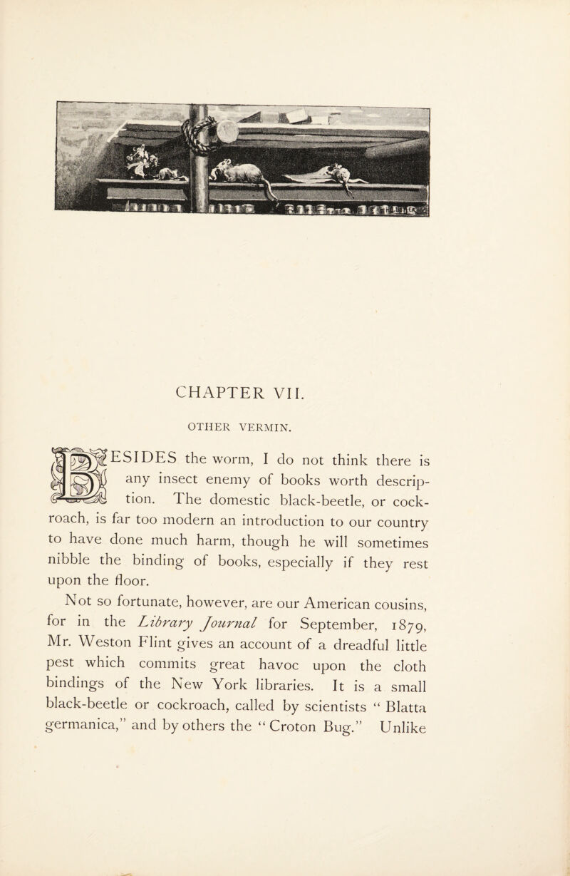 OTHER VERMIN. ESIDES the worm, I do not think there is any insect enemy of books worth descrip¬ tion. The domestic black-beetle, or cock¬ roach, is far too modern an introduction to our country to have done much harm, though he will sometimes nibble the binding of books, especially if they rest upon the floor. Not so fortunate, however, are our American cousins, for in the Library Journal for September, 1879, Mr. Weston Flint gives an account of a dreadful little pest which commits great havoc upon the cloth bindings of the New York libraries. It is a small black-beetle or cockroach, called by scientists “ Blatta germanica,” and by others the “Croton Bug.” Unlike