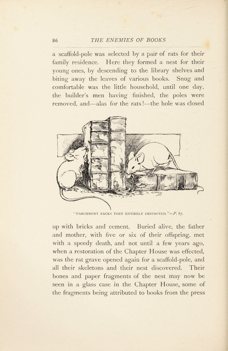 a scaffold-pole was selected by a pair of rats for their family residence. Here they formed a nest for their young ones, by descending to the library shelves and biting away the leaves of various books. Snug and comfortable was the little household, until one day, the builder’s men having finished, the poles were removed, and—alas for the rats!—the hole was closed “PARCHMENT BACKS THEY ENTIRELY DESTROYED.”—P. 87. up with bricks and cement. Buried alive, the father and mother, with five or six of their offspring, met with a speedy death, and not until a few years ago, when a restoration of the Chapter House was effected, was the rat grave opened again for a scaffold-pole, and all their skeletons and their nest discovered. Their bones and paper fragments of the nest may now be seen in a glass case in the Chapter House, some of the fragments being attributed to books from the press