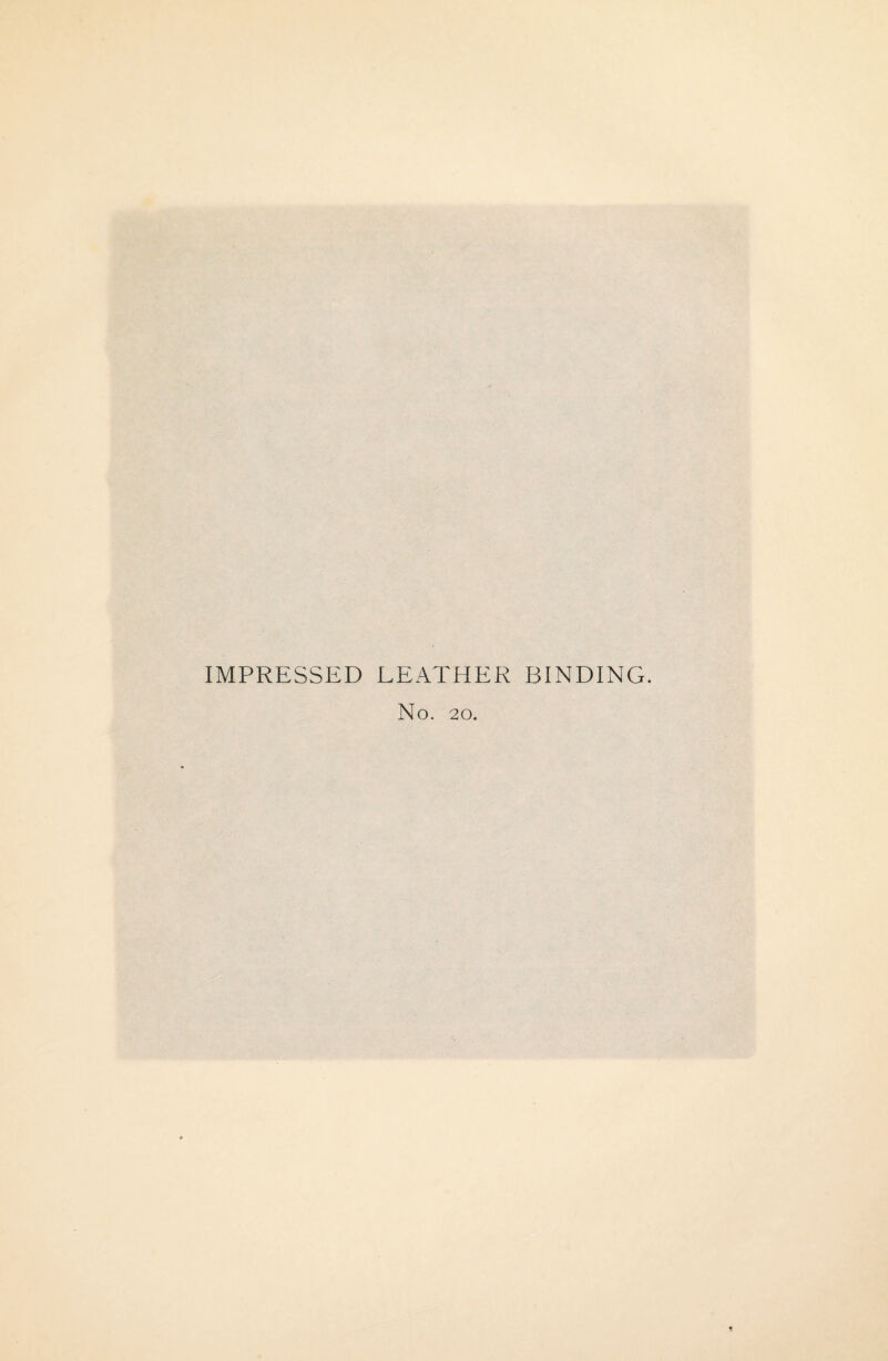IMPRESSED LEATHER BINDING. No. 20.