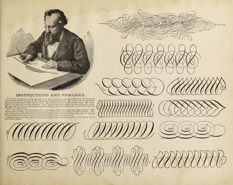 Tiie above is a picture of trie eminent D. T. Arms, the great penman, Editor of the Penman’s Art Journal, 205 Broadway, N. Y., sitti lg at his desk flourishing. He is one of the greatest and mo3t eminent penmen in the whole wor.d. He executed all the'work on this page. He flour¬ ished it all right off, in a few minutes. Tnis portrait was taken while he was doing the work, and you can see how he sits and how he holds his pen, just the same as you could if you were in his office looking at him. It is easy enough to do all this work if you sit and hold your pen in the ri^ht position. The above picture of Prof. Amos shows how he sits and holds his pen, when actually at work. You can learn to sit and hold your pen m the same position by looking at his picture, just as well as you could if you had Prof. Amos himself right svith you to show you hosv. After you once get the correct p isition, it requires but very little practice to be able to do all this kind of work.