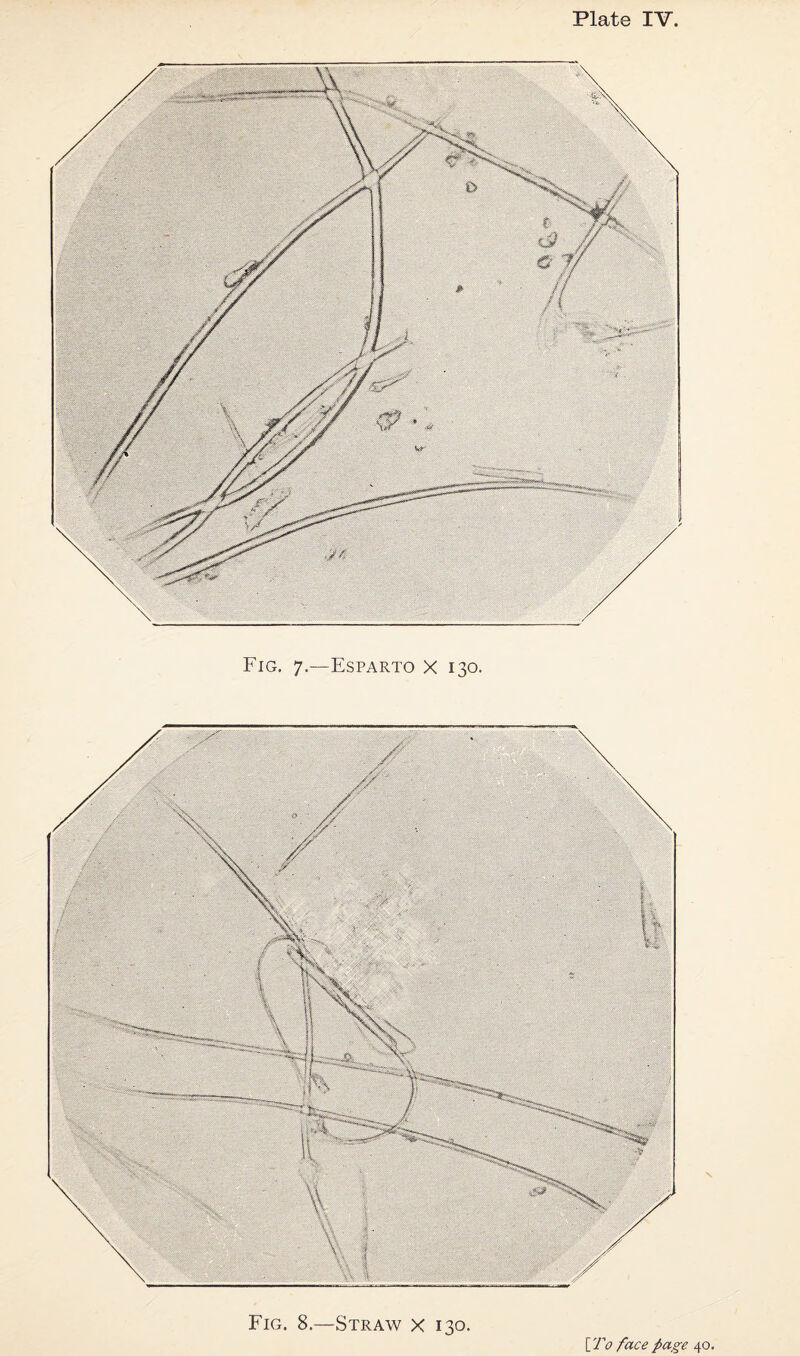 Plate IV, Fig. 7.—Esparto x 130. Fig. 8.—Straw x 130. [To face page 40.