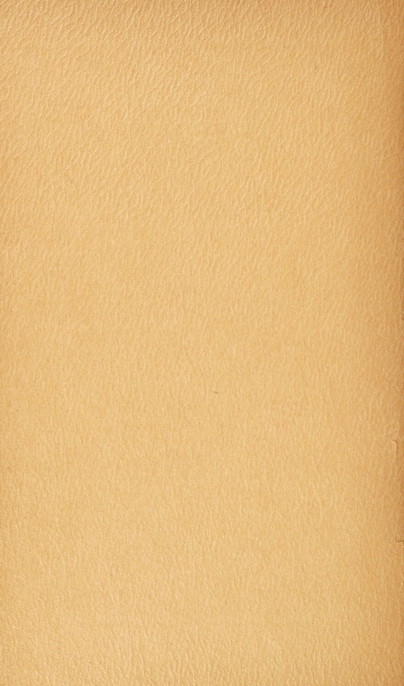 't'd ■ ft f' '> i-•''■>'/Ay.lim ^ V , ^ Pt/ ;■-- r: ;.‘-V,»%-i/fMM,' !■”■' : , ,'MHWW.f'!i.'.'' j! ','■«•■•■■'<V, ■<■■»•■■'f , , :.V -,■. h-hf4\. ^:Vf, ^ f ^ s-r W  k:.: V> -'A-iV^ v'' i. v?.?r Iv'::,' i ? V% v' ■ .■■■■^'^'# i! ill®!:ilAiliitfill#A5:i iilllSi? I!;; :S®lsiiSlWSM;?w:';■'*J‘ ■' ;^;A' - 'v'. - t T'itl.yt • ^ ■■ ■' ■■ ;V f “■ ■ > > . •, ^ , V) \ '^ ■ ■'’V • -• '* '-■ • ■ '■■■'< ri.'-v •>;-^ ■i- ■ • SO^i- •»? f;r:'VV>^?1 -A.: '' ' /  ' i - 3*'^^ Ff • Z; .r,' v ''' ~/P/ryf V- r