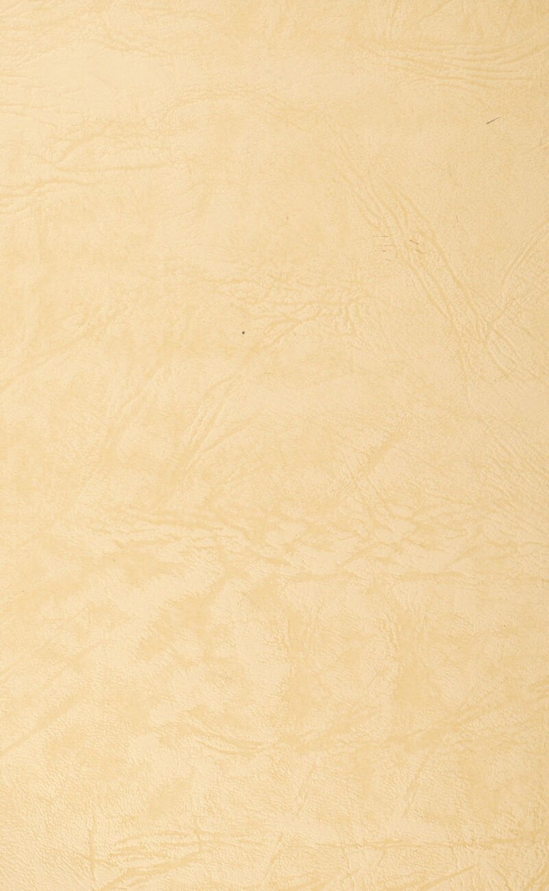 '■■'j *(? ■»' ■ : ,.. :j:< ■ <. - . )-;V K . \ Vv ’v .4> w~ > •'i • ‘ ; > STs * . i*.:. «. ' . • A . .. ■>- ^ ■ c^n'-: ■.', ‘ • ■ .^-^ ifli* '! f * ■ f** ^ ' « ■ ' ^ ■'f ' 'j ' rS*,.'- V '^t- ..-A-*' ‘.■'V 11KS.7 .,■*r♦^~^ A ' ' ■■•'■ ■ ;' • 4av ' - ''-.^ ■ ■ i • ■-^ ' ■