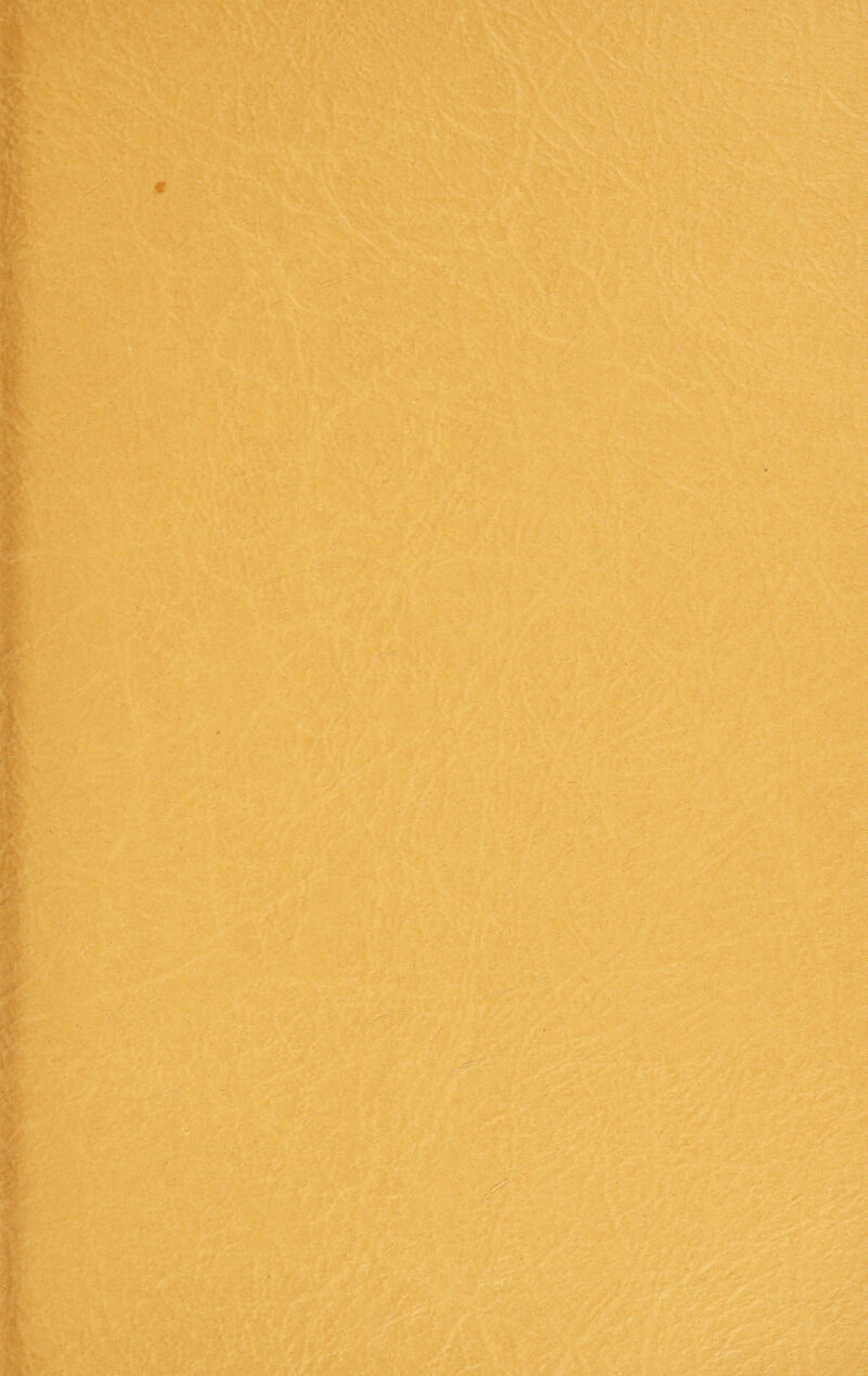 > ' . - ' -,*'•» -• . -• v TA .ft-si*?  ’■ z't '• /-■' ■*.