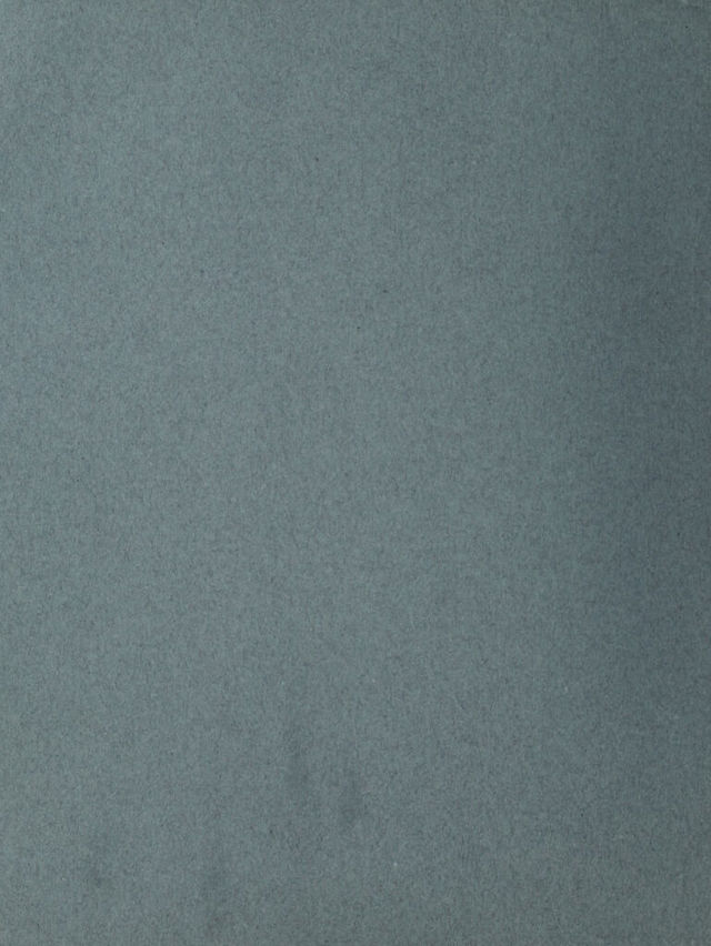digitised image 2