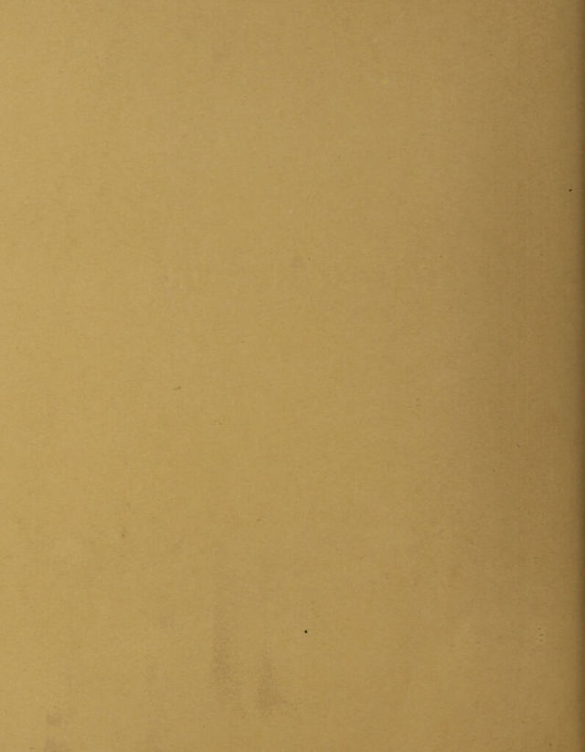 digitised image 2