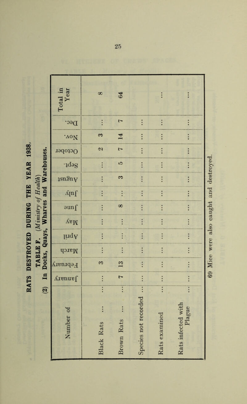 : : : isqopo Axeniqaq co co : : : : i> : : ;