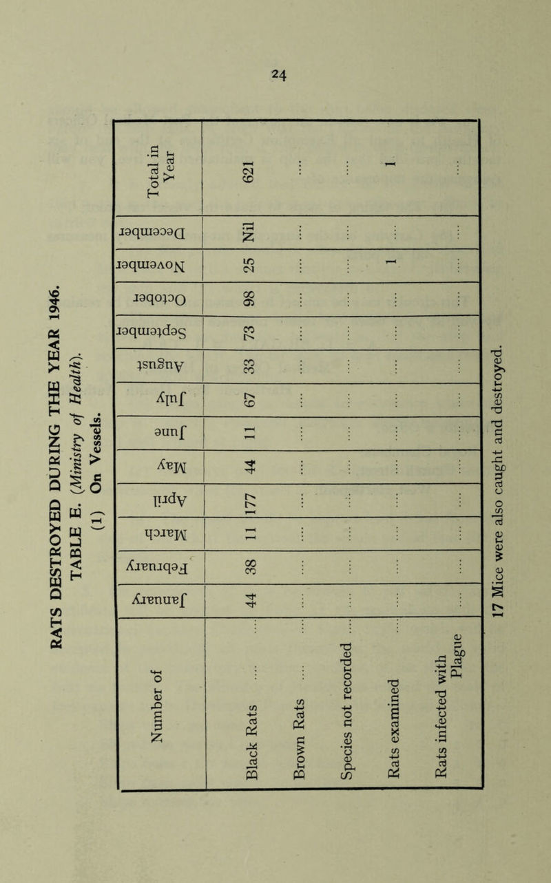 Total in Year 621 1 J9qUI909Q 2 : J9qUI9A0Js[ 10 *-< jgqopo 8'lli J9qui9;d9g Bill ;snSny 00 : 00 : : : Apif : Xj-emq9j[ 00 CO : : Tf1