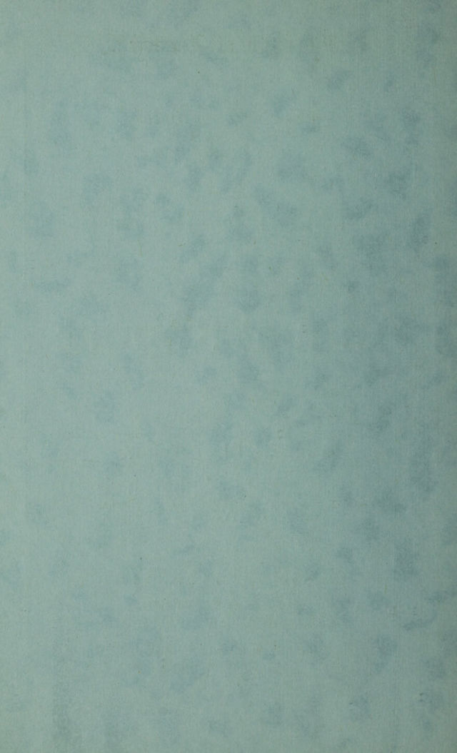 digitised image 2