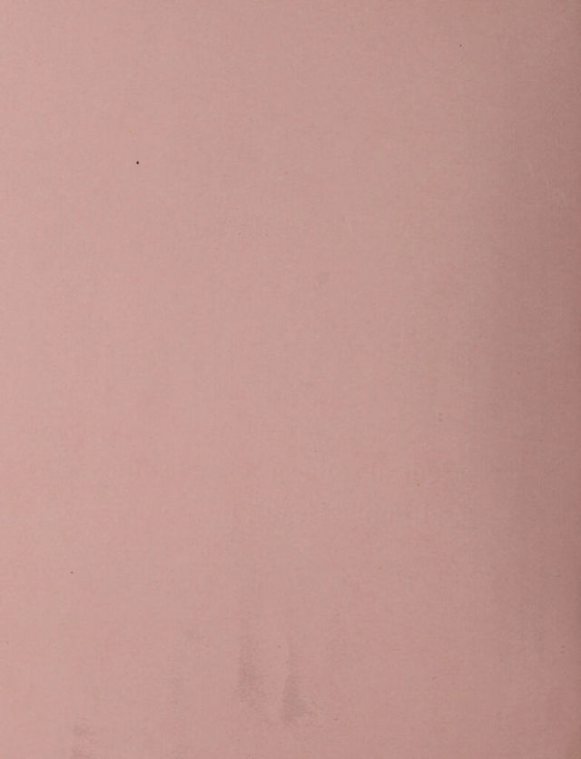 digitised image 2
