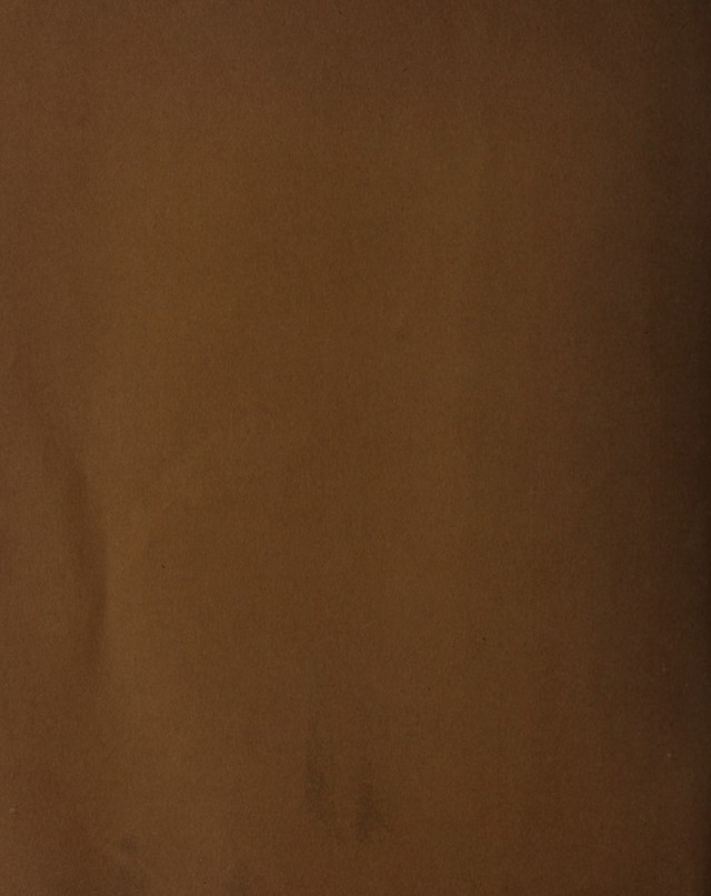 digitised image 2