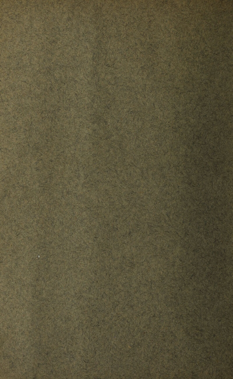 . • '• H’ ‘ -.,v •> ; ';Z\' ^