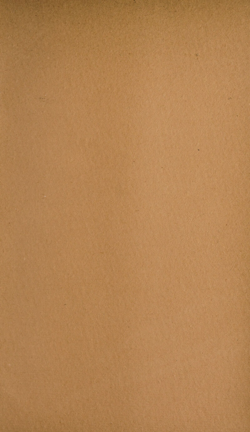 > - ' ■ - - ■ ' ' V 1 ’ ■ ‘/V r. „ . ■ *T»d ‘■v*/ •, Afy: - - ' . . ■ 1 : ' , ' ■' / ','.7 !.A>* ■ v ■■ • . ■, •. Vi- f<K&f 7 .« \ b/> . v •• , ' - '•> /> ;r> &fifd • v . - . , ■ ■ 7 -V ■ im v*35 . v ■ ■ • ' ‘ 1 4 11 - • .' v • .m v - •' . . i . Vs , r ' if. >* * » • - ' ; * \y /■-’./v * V ' ' • ■ ■ -A A A, A ■ > ■ 1 .* ' •' - ' ' ■; ■ ' .. •: . ; ■ : i ,4! (. ; .A >' . ,