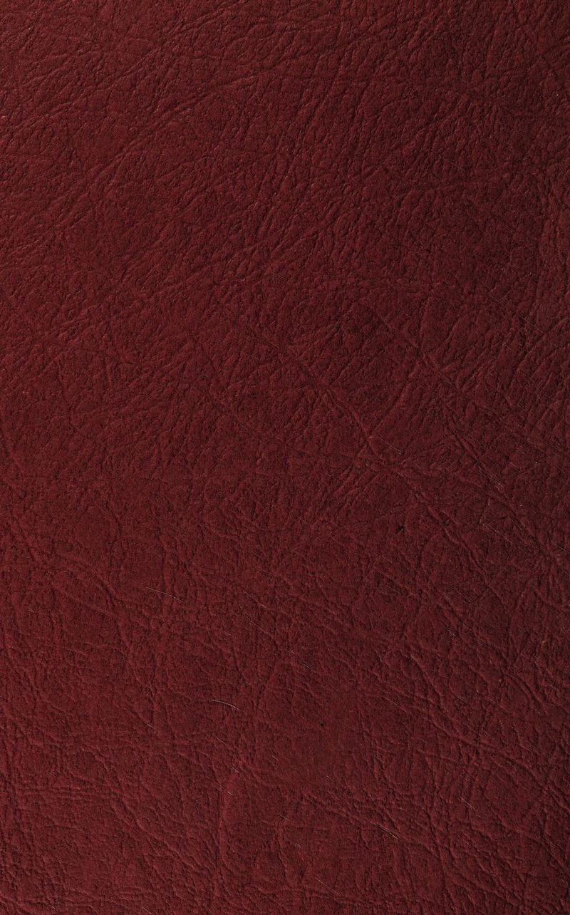 No text description is available for this image