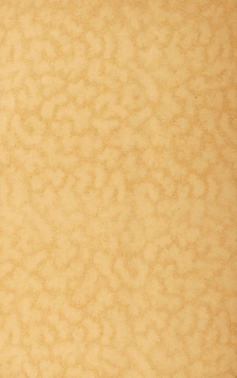 *5,' '•« t--:v ' ■ '■ v X-