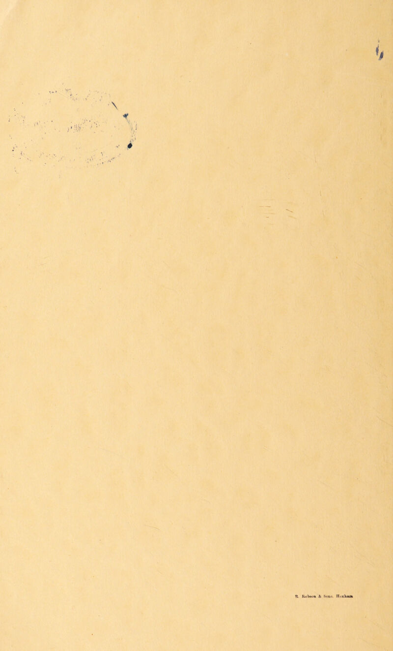 k tt' ■'V ! i \ \ 1 R,. Kobaon & Sons. Hi^rhasn
