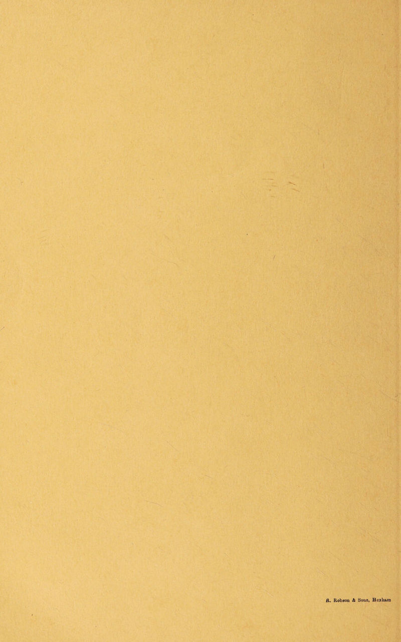 ft. ftobaon & Sons, Hezham