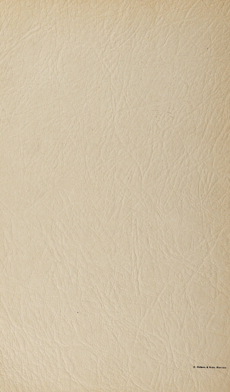 ft. Atfeeu & Uvun, ilixUAu