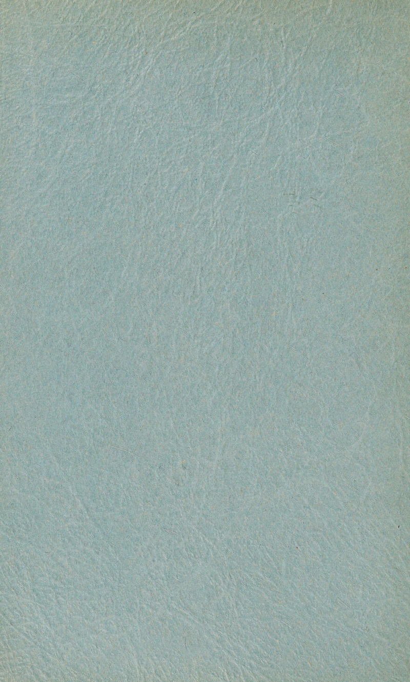 TOjjJ . v #:i ■ }f'^ >: ; V’ } 'Vv:>;  S ;' ;vt- ,^> ■>■  , ■'-'■■ ».;®:Wj. .. ' '. ;-;i ^Vvv! ' , :.'■ ; . ' ,,..,‘f ,/ ■W&'‘ A.'V: -V.' ■ • T ■ > V^' * i «| :; >i. 