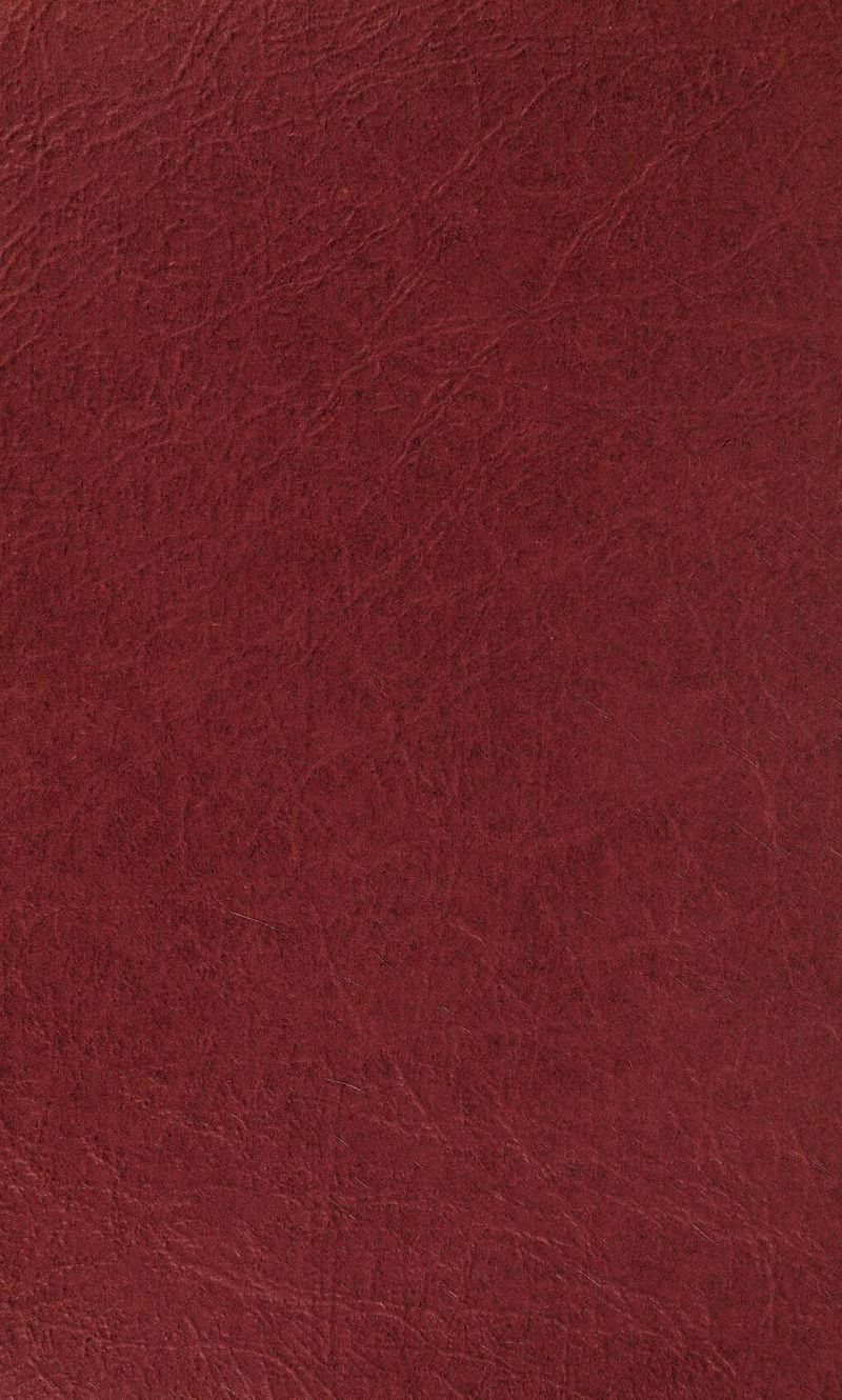 No text description is available for this image