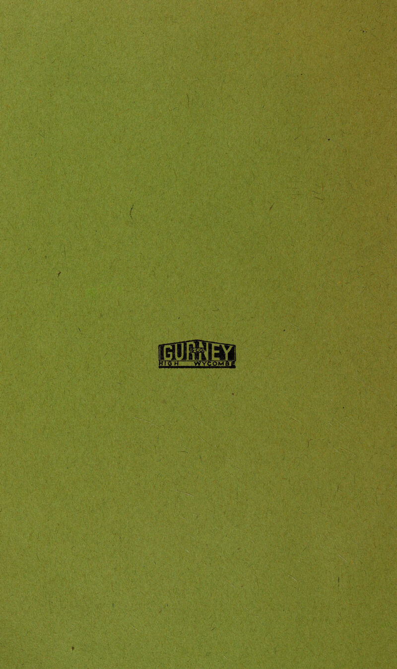 No text description is available for this image