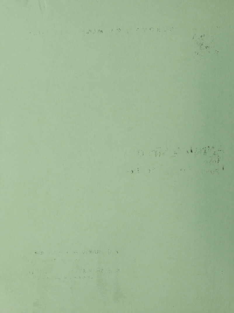 A V . v> r ir % / • £ . ' -Wi. >;r • : *. / ■ ’ f . - « . •' 1- » 4