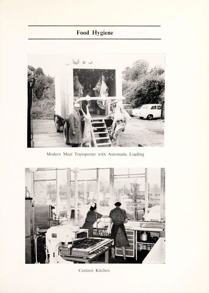 Food Hygiene Canteen Kitchen